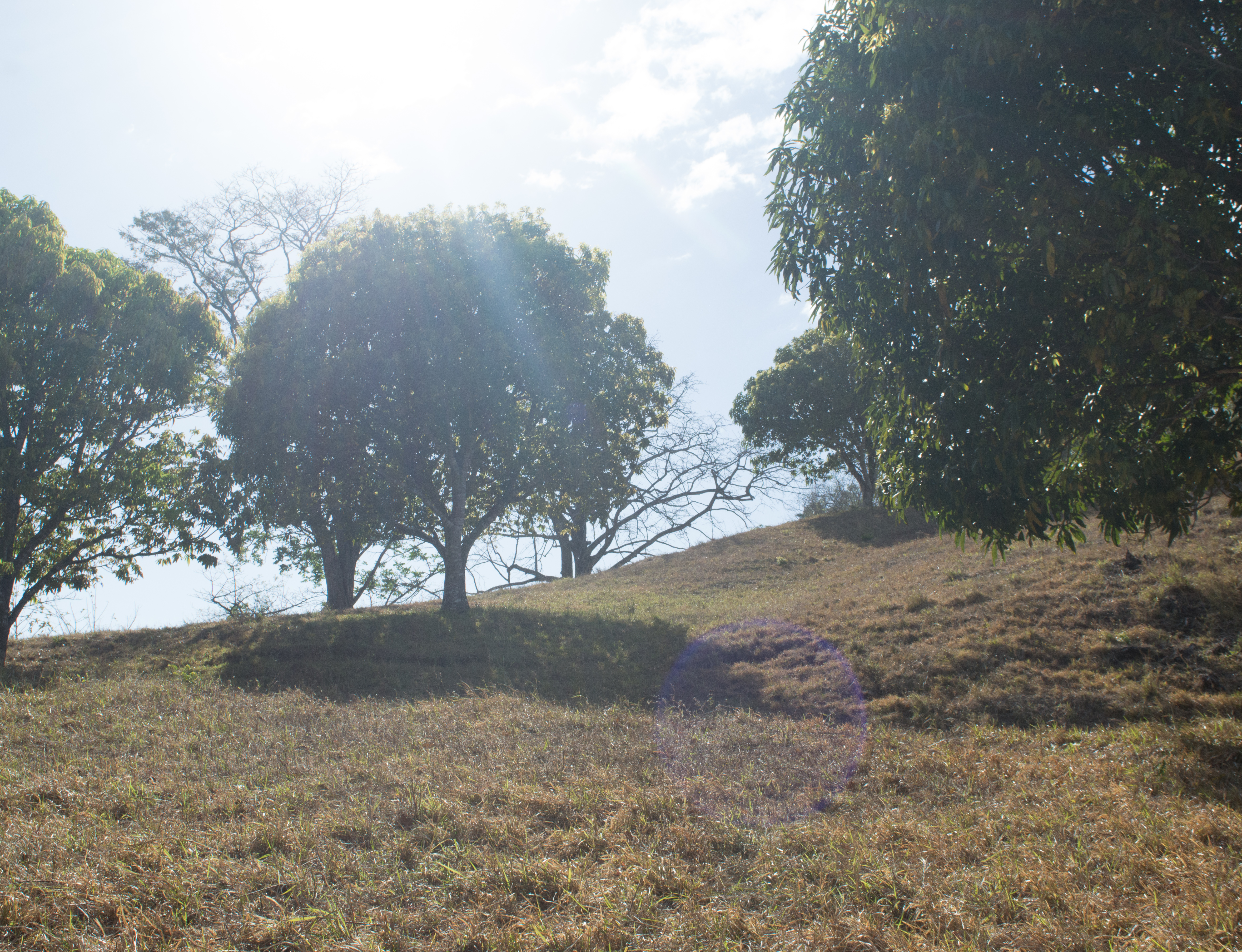 1 bed Land For Sale in Samara, Guanacaste - thumb 9