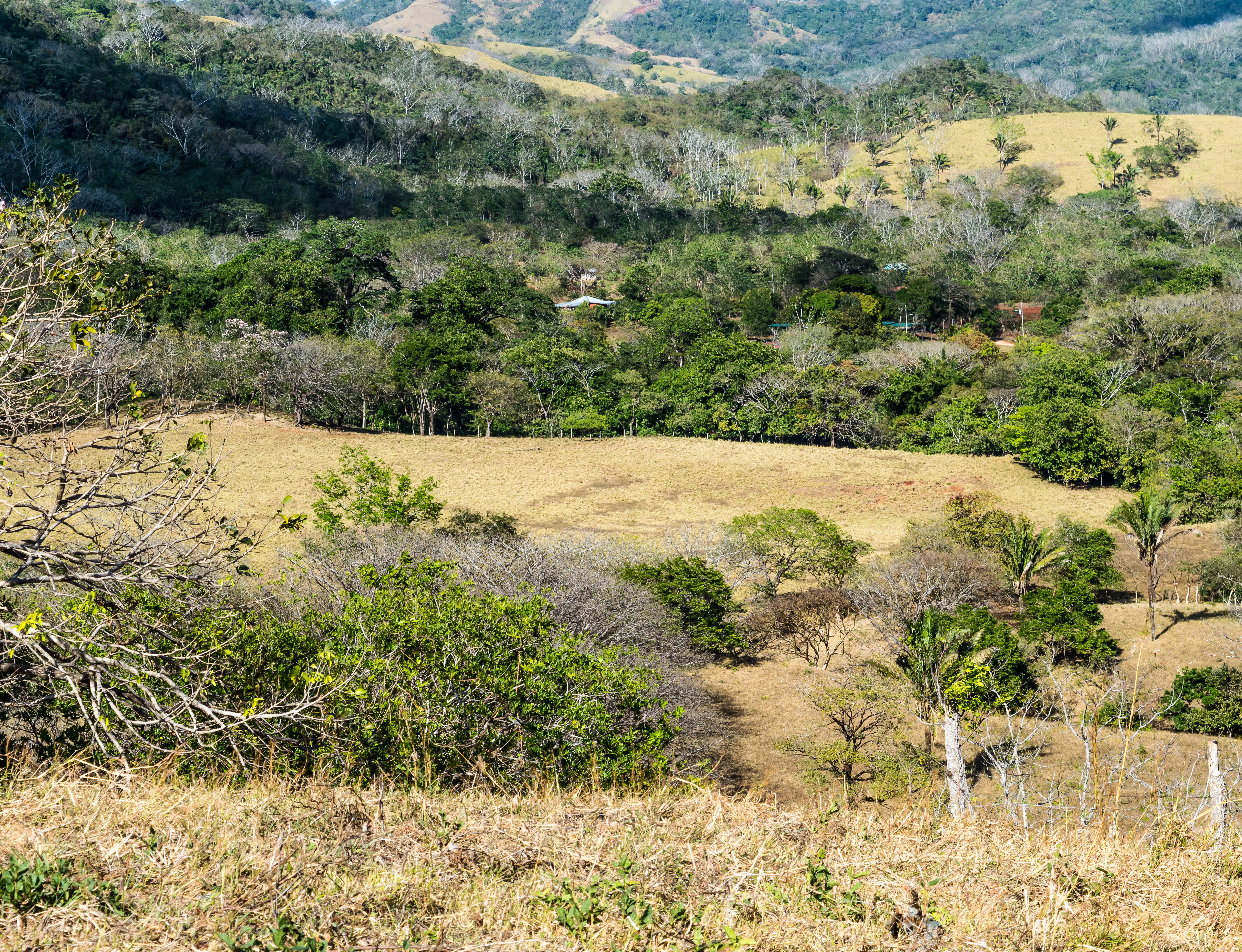1 bed Land For Sale in Samara, Guanacaste - thumb 2