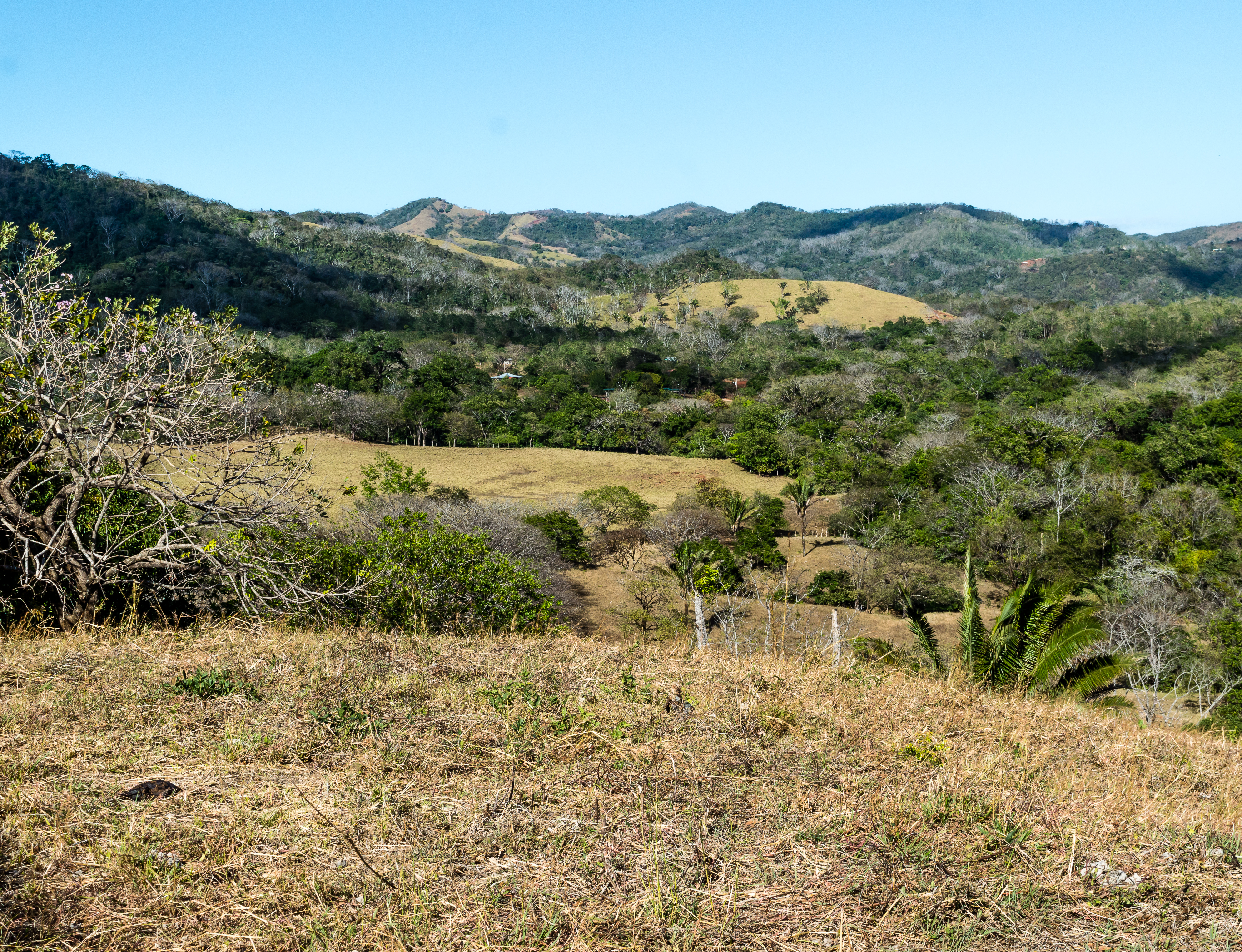 1 bed Land For Sale in Samara, Guanacaste - thumb 7
