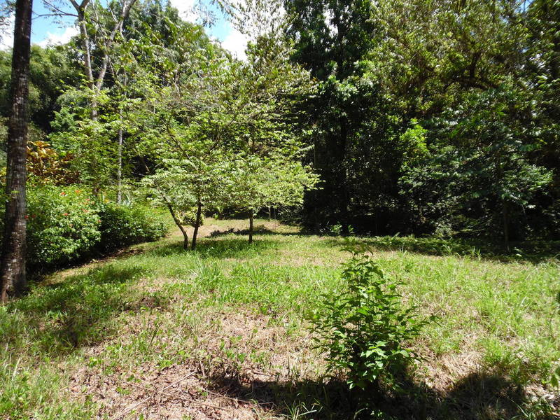 0 bed Land For Sale in Ojochal, Puntarenas - 1