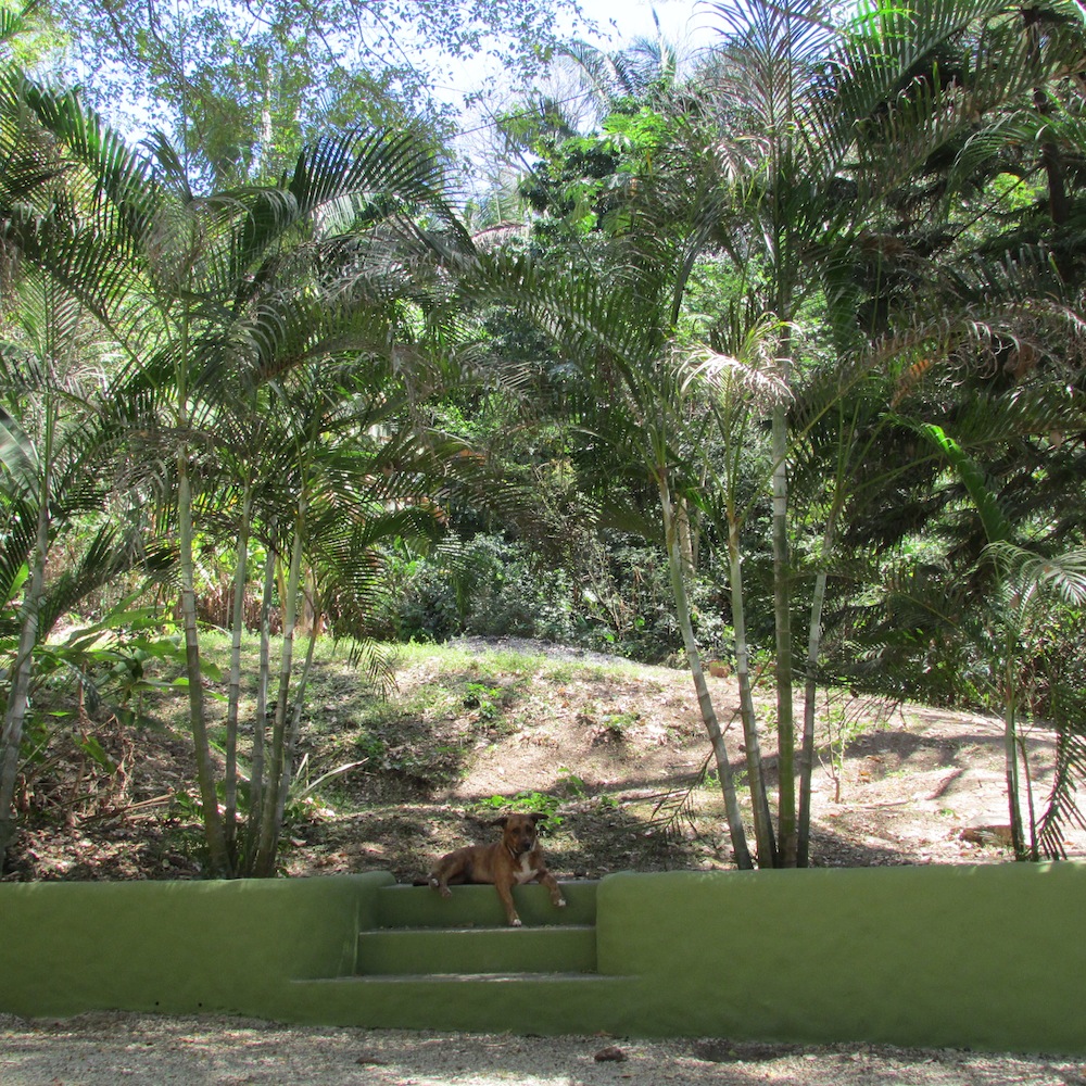 2 bed Single Family Homes For Sale in Samara, Guanacaste - thumb 17