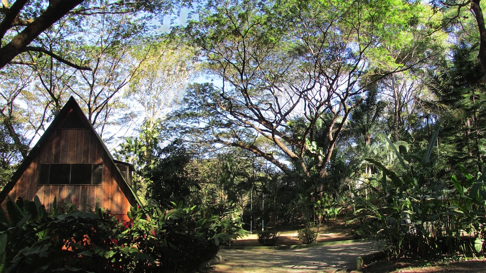 2 bed Single Family Homes For Sale in Samara, Guanacaste - thumb 24