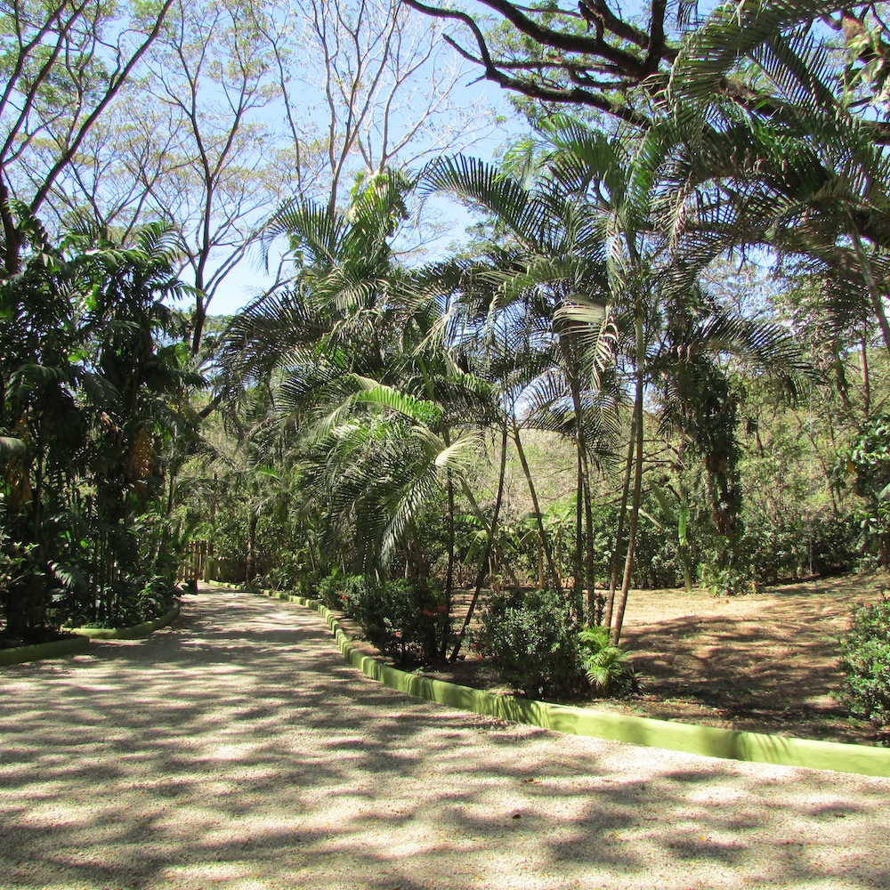 2 bed Single Family Homes For Sale in Samara, Guanacaste - thumb 21