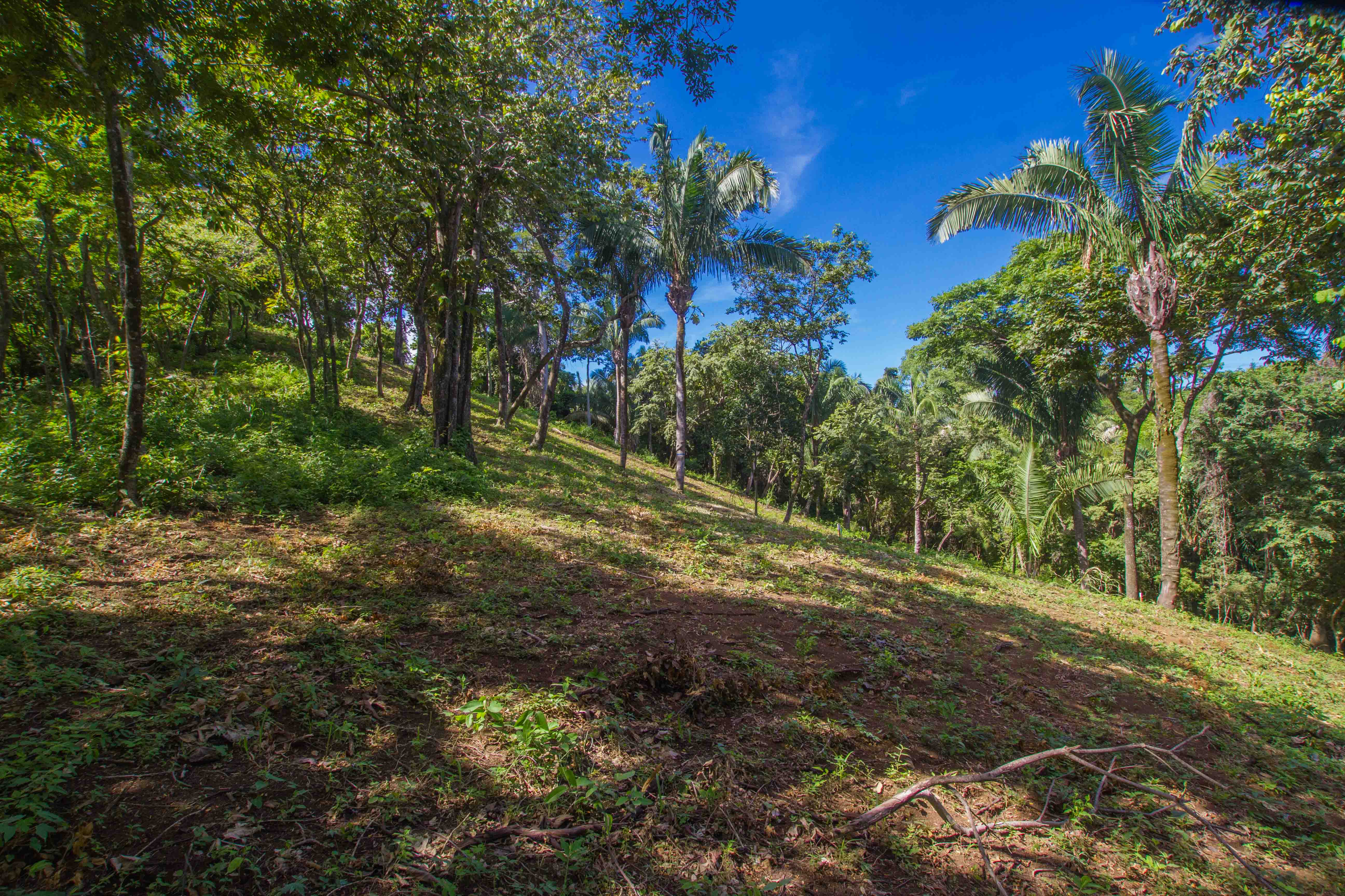 0 bed Land For Sale in Nosara, Guanacaste - thumb 13