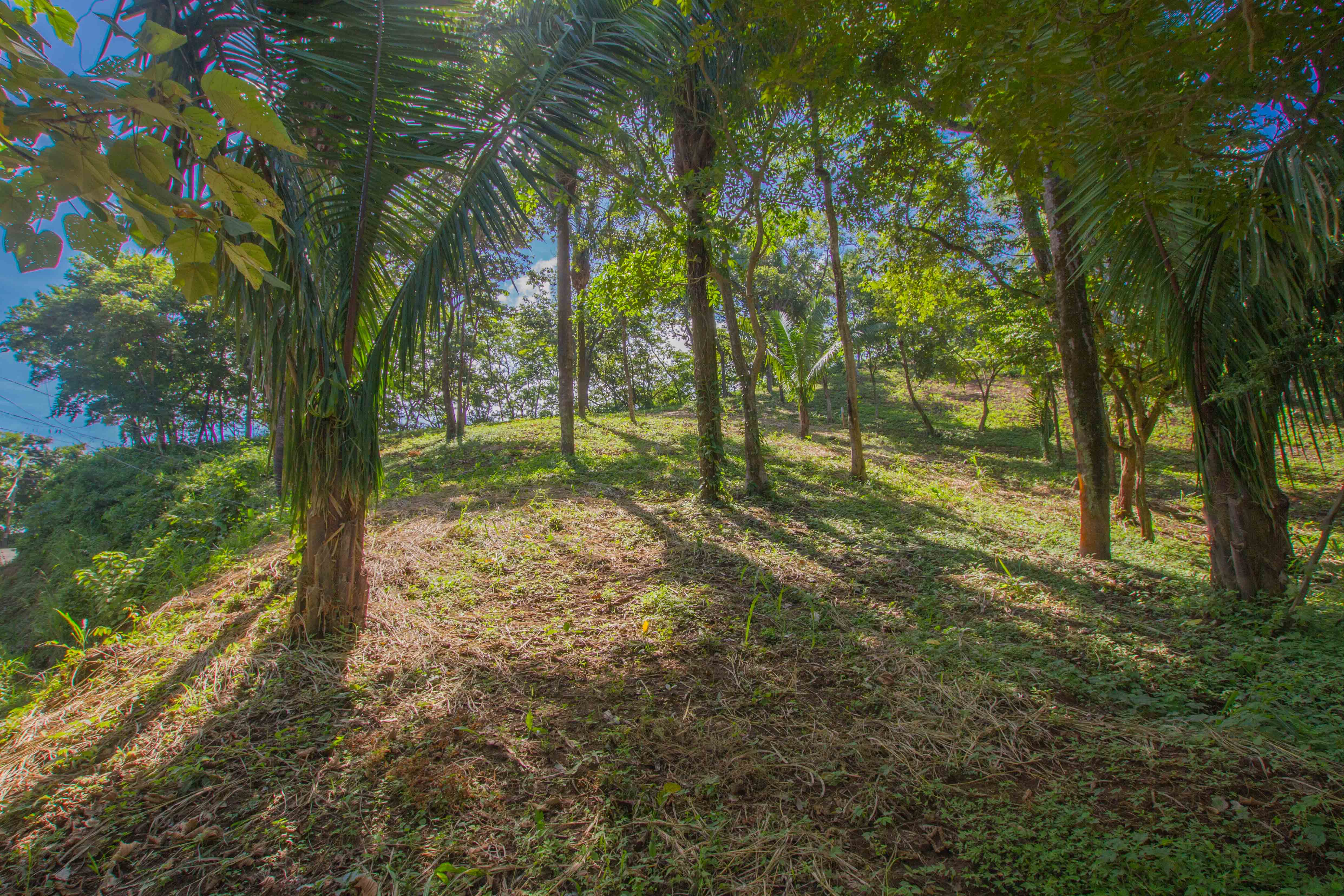 0 bed Land For Sale in Nosara, Guanacaste - thumb 4