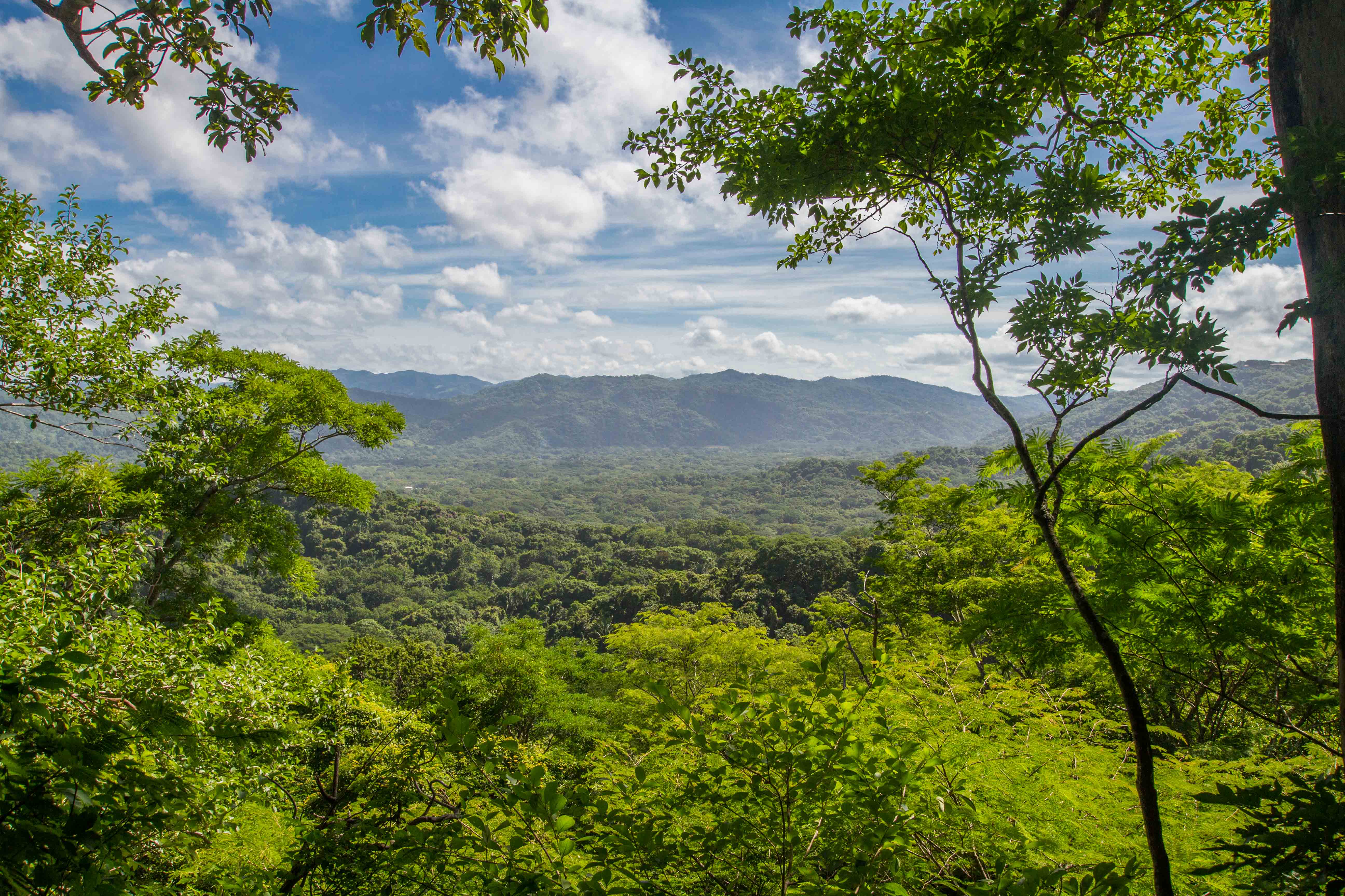 0 bed Land For Sale in Nosara, Guanacaste - thumb 11