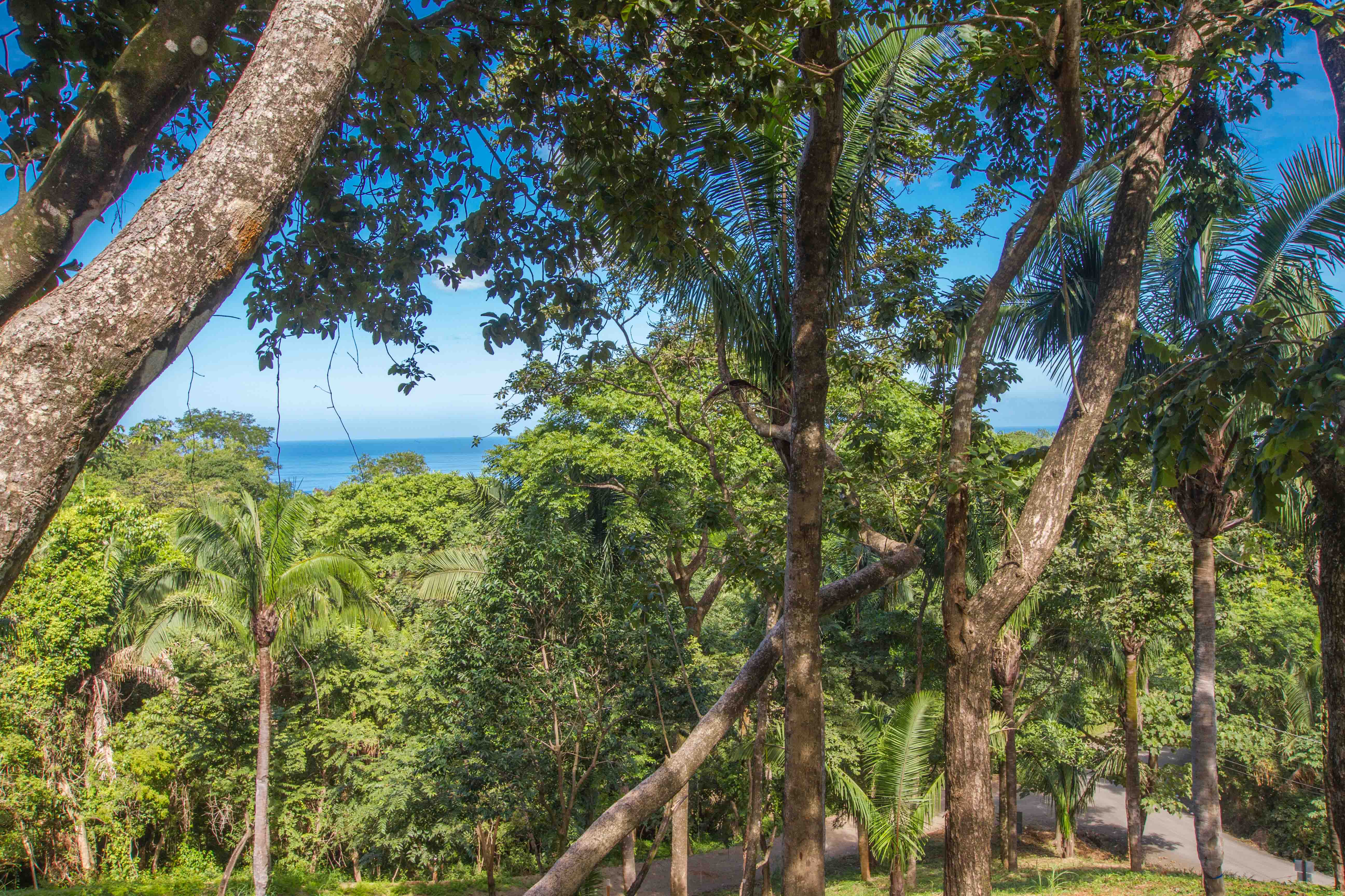 0 bed Land For Sale in Nosara, Guanacaste - thumb 15