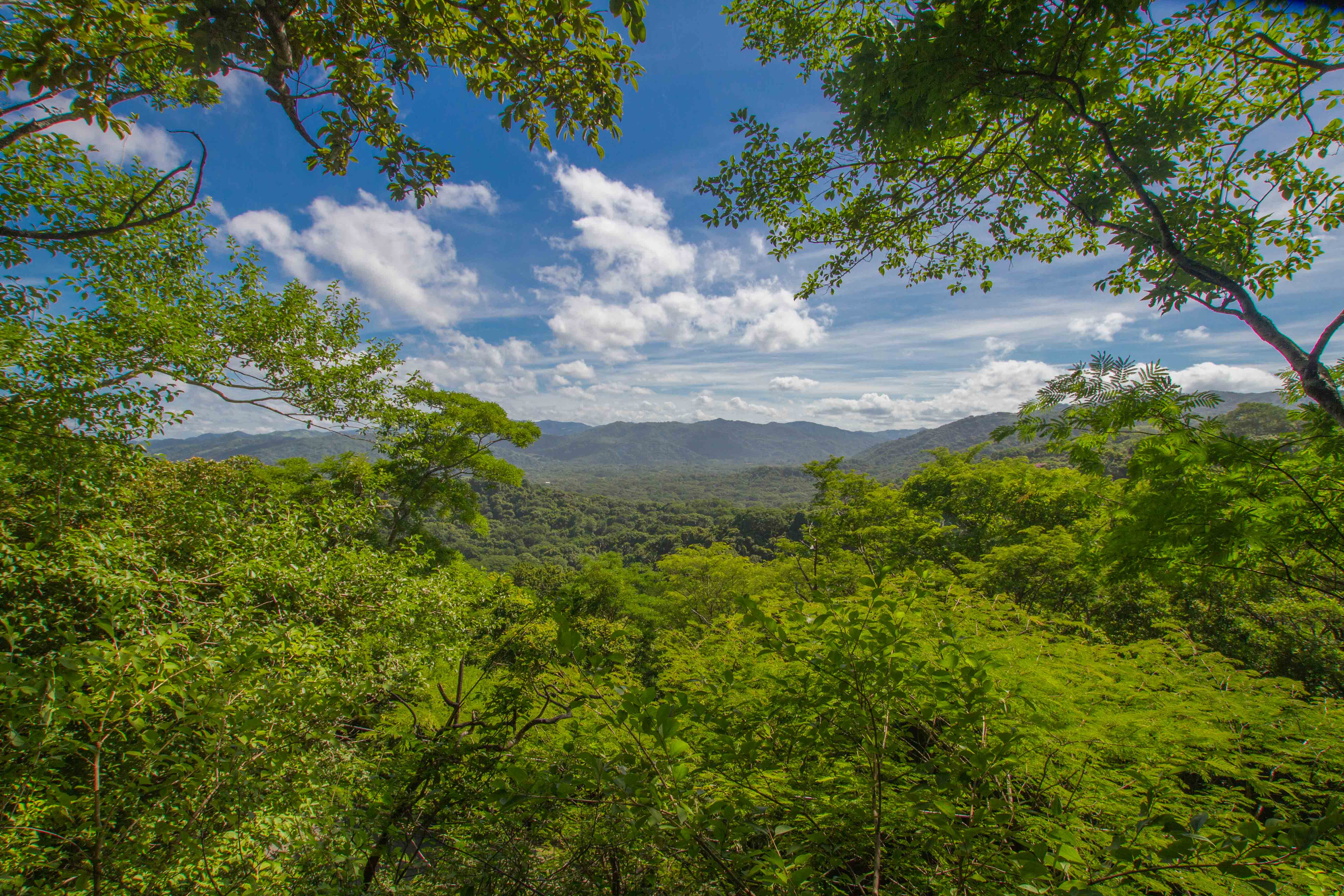 0 bed Land For Sale in Nosara, Guanacaste - thumb 10