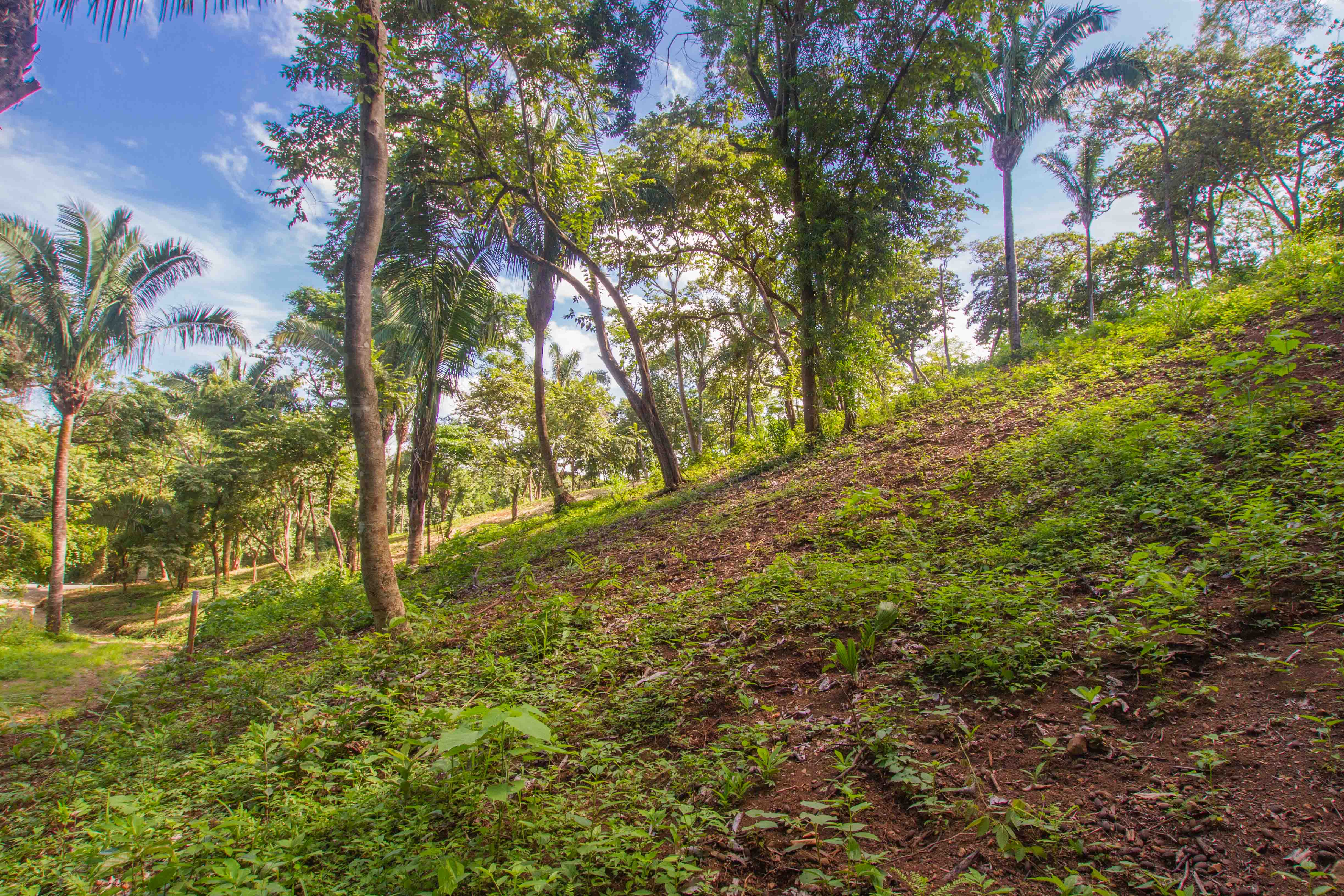 0 bed Land For Sale in Nosara, Guanacaste - thumb 6