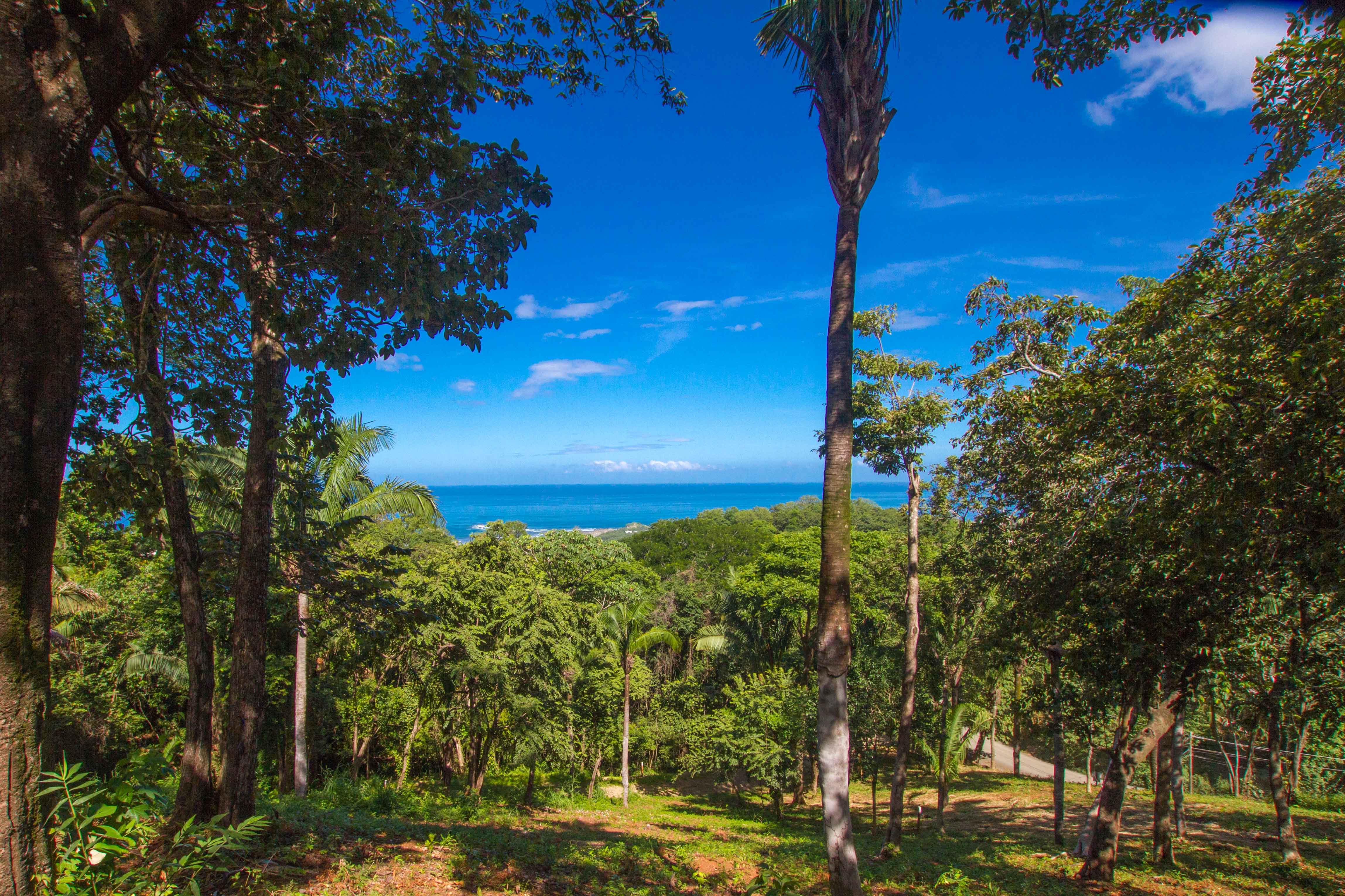 0 bed Land For Sale in Nosara, Guanacaste - thumb 12