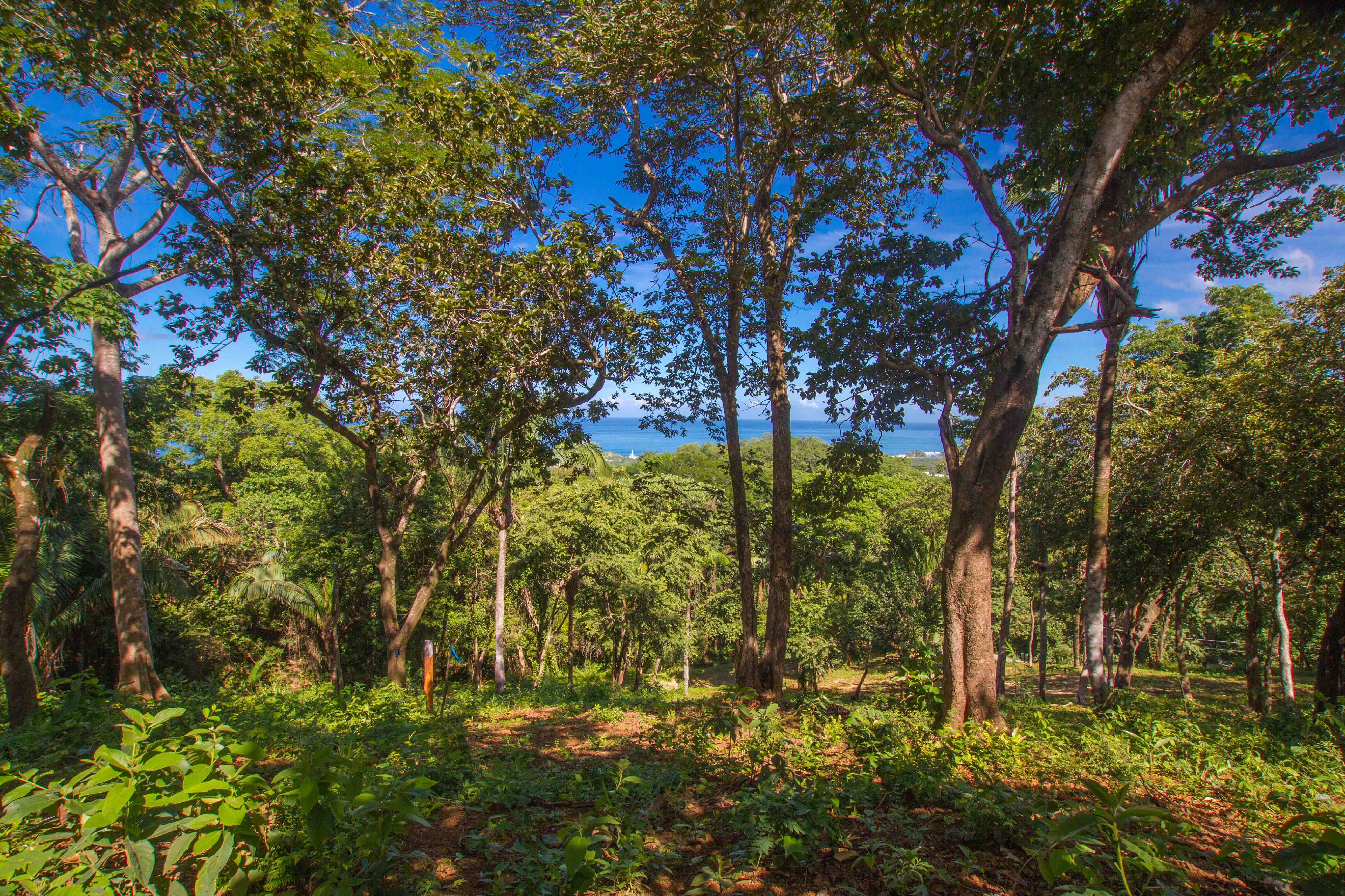 0 bed Land For Sale in Nosara, Guanacaste - thumb 8