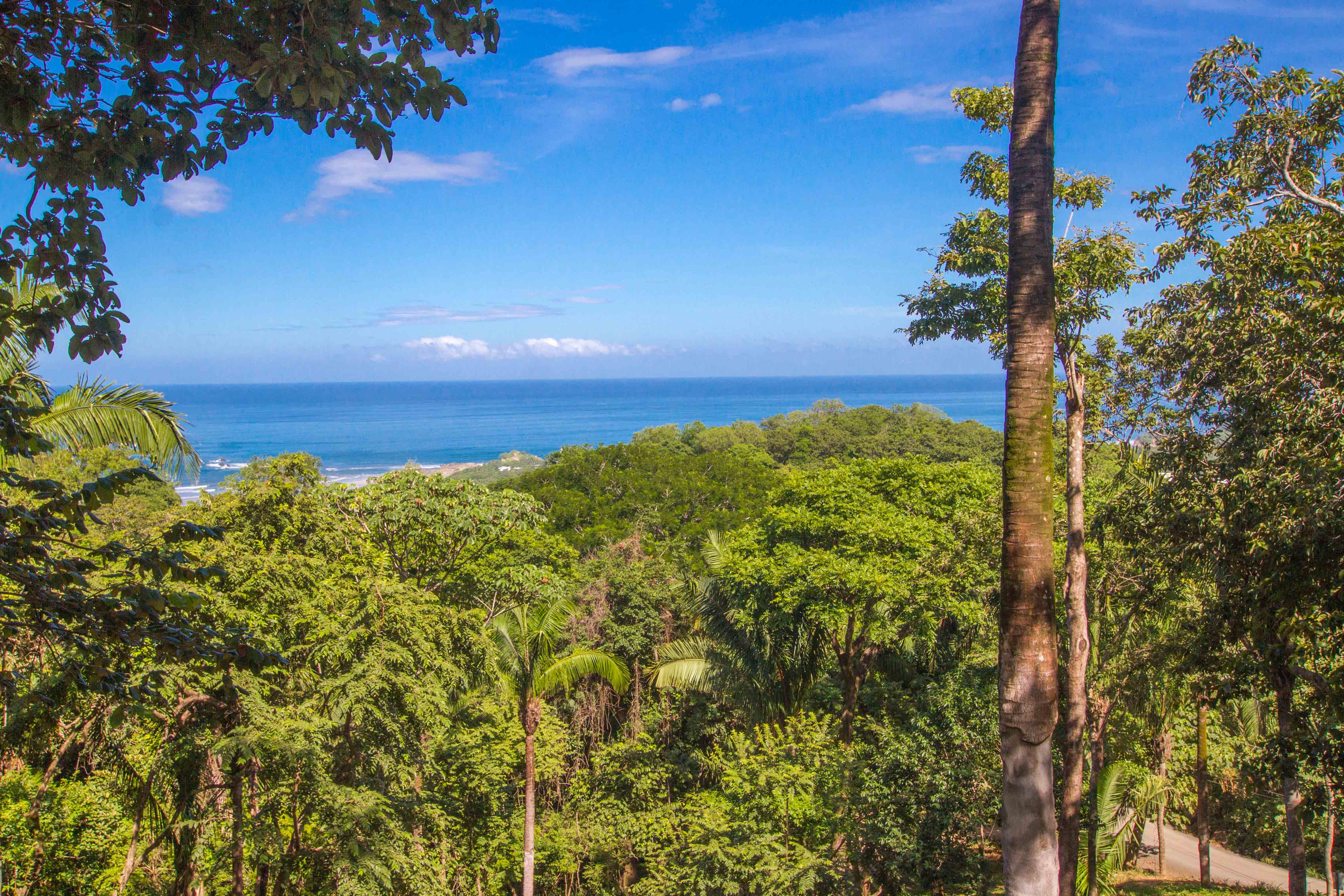 0 bed Land For Sale in Nosara, Guanacaste - thumb 1