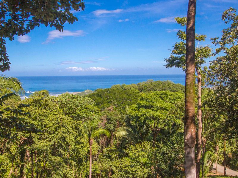 0 bed Land For Sale in Nosara, Guanacaste - 1