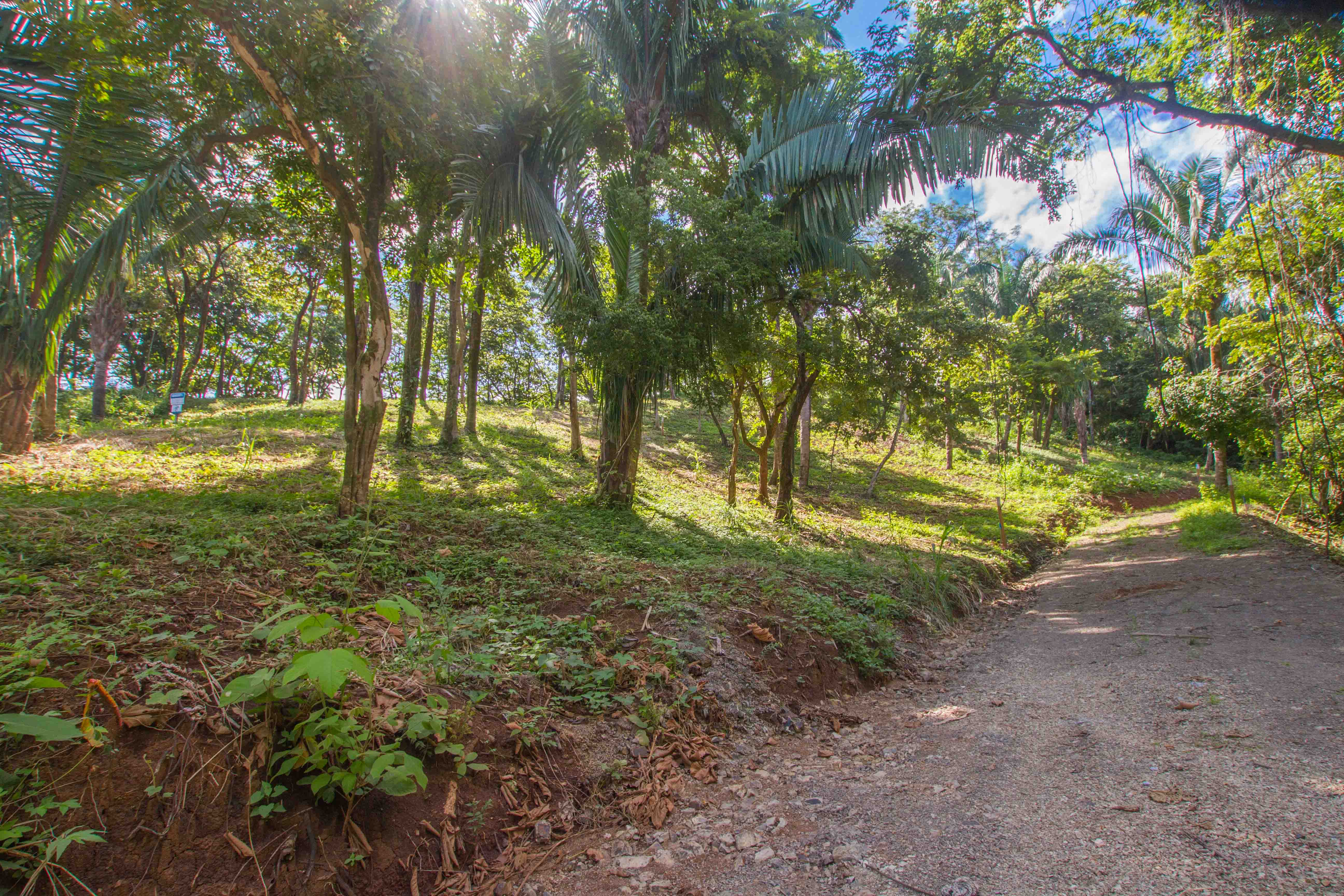 0 bed Land For Sale in Nosara, Guanacaste - thumb 3