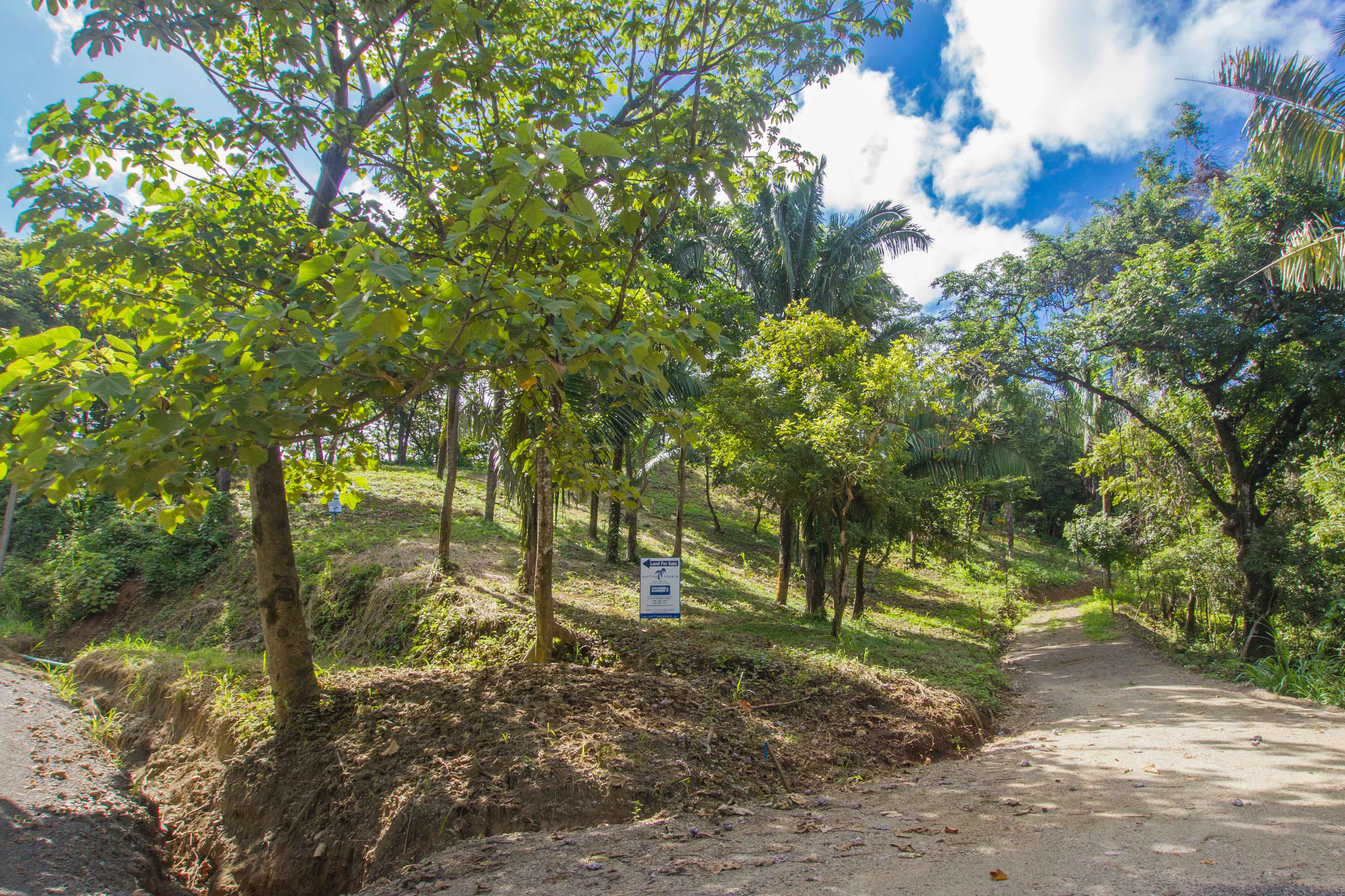 0 bed Land For Sale in Nosara, Guanacaste - thumb 2