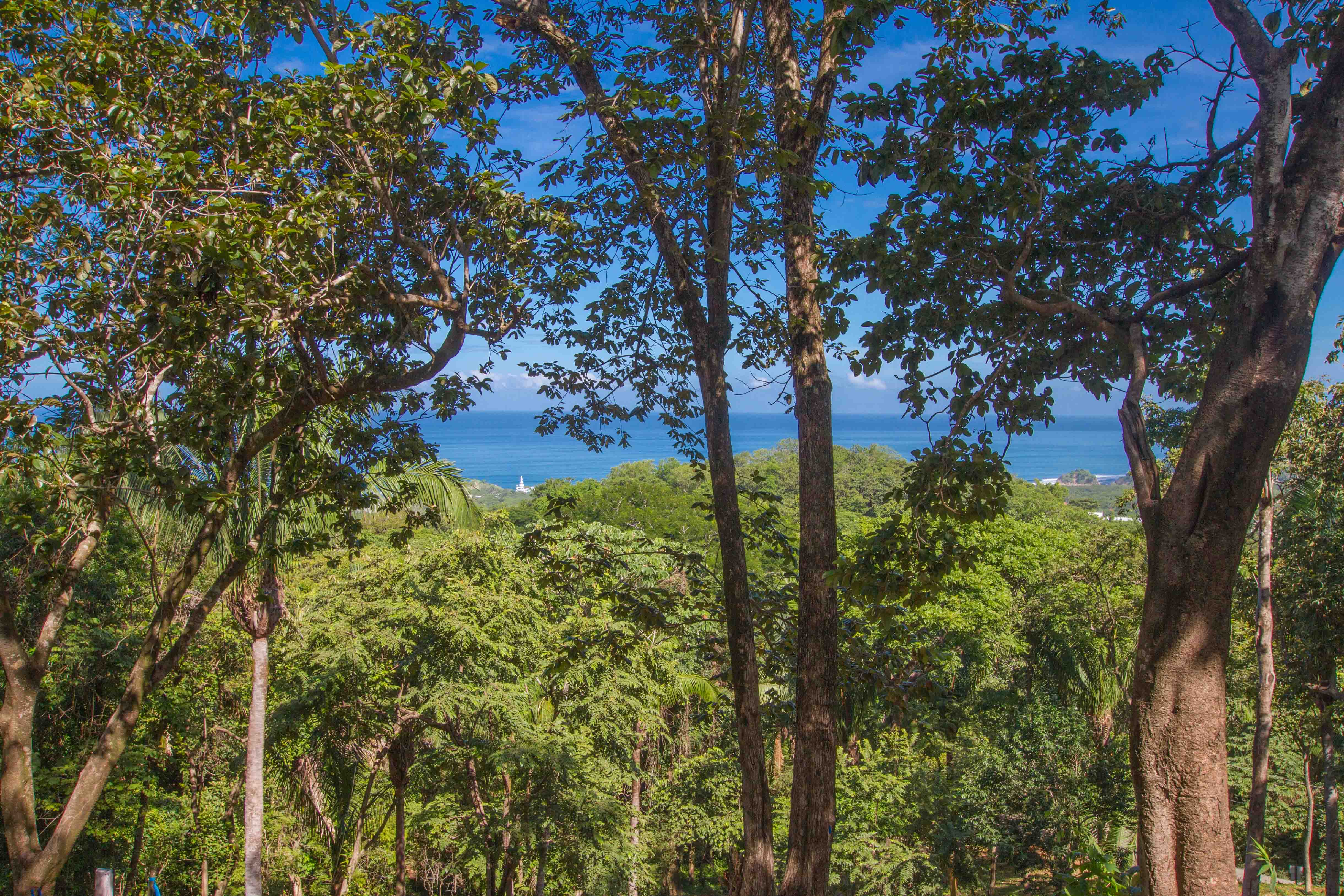 0 bed Land For Sale in Nosara, Guanacaste - thumb 9