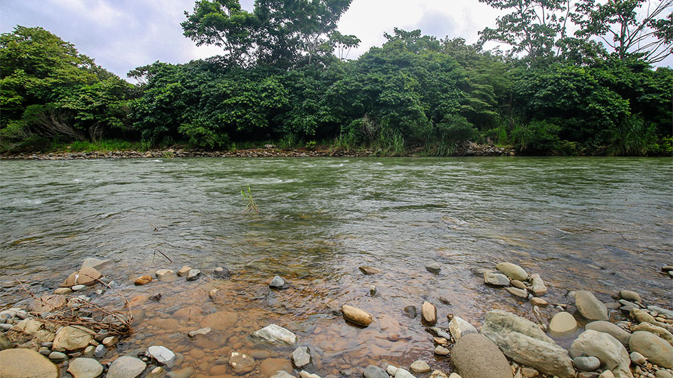 2 bed Single Family Homes For Sale in Dominical, Puntarenas - thumb 17