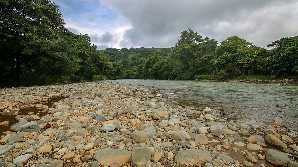 2 bed Single Family Homes For Sale in Dominical, Puntarenas - thumb 16