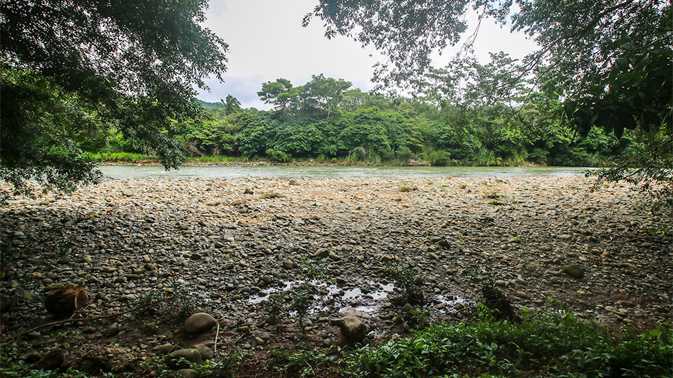 2 bed Single Family Homes For Sale in Dominical, Puntarenas - thumb 15