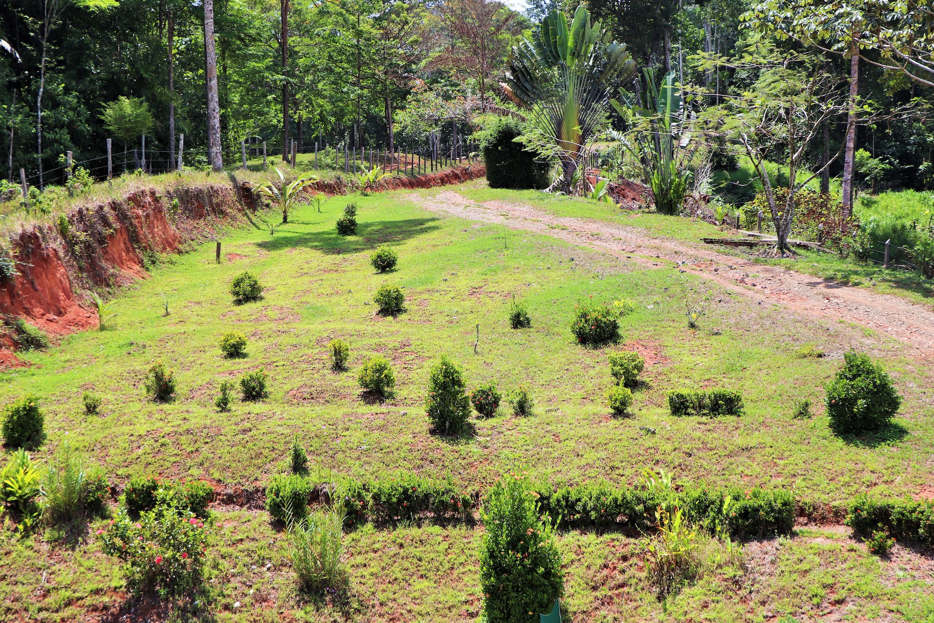 3 bed Single Family Homes For Sale in Puntarenas, Puntarenas - thumb 13