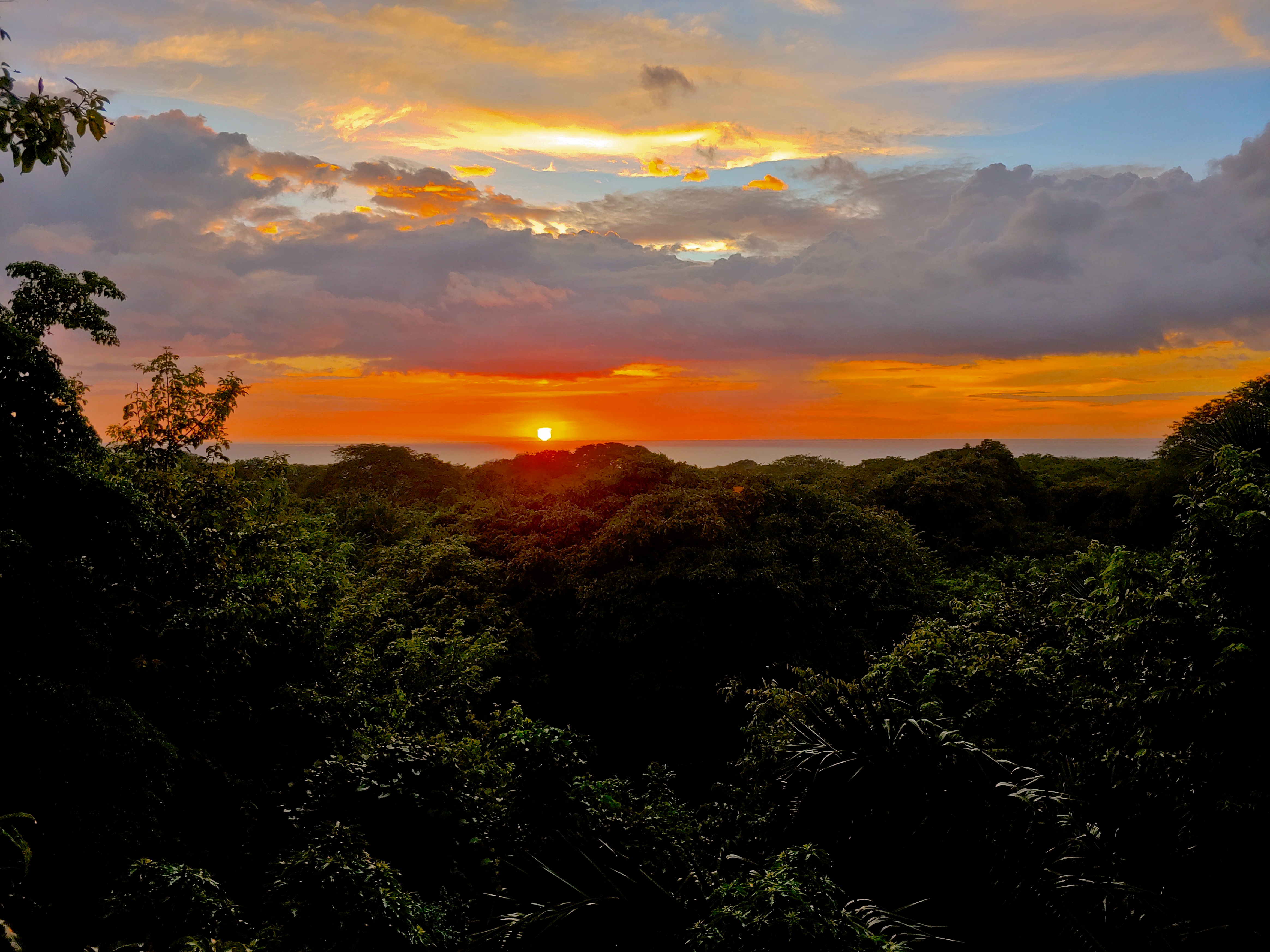2 bed Single Family Homes For Sale in Nosara, Guanacaste - thumb 22