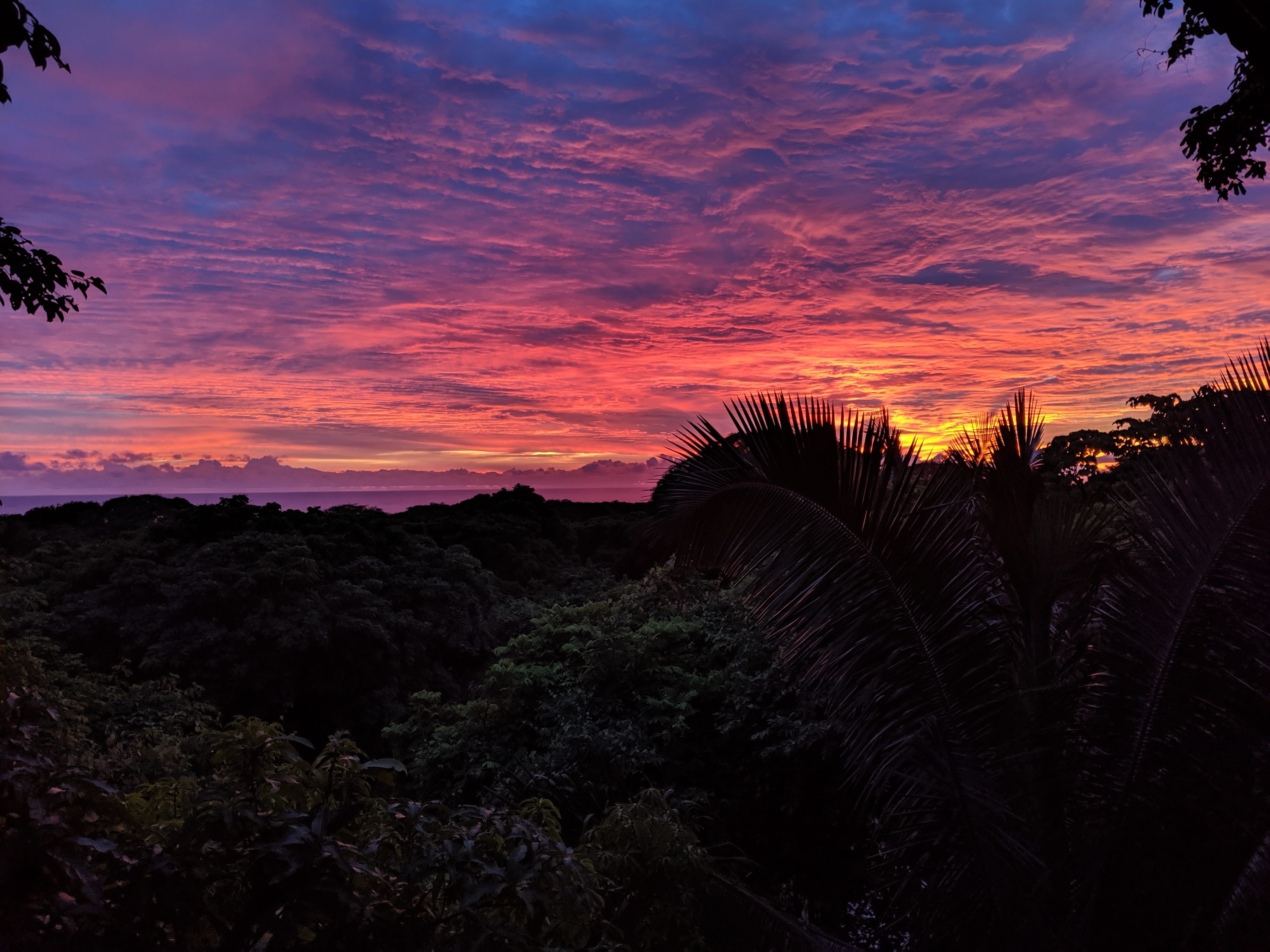 2 bed Single Family Homes For Sale in Nosara, Guanacaste - thumb 23