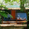  - Walk to the Beach Hotel in a Tropical Rainforest setting