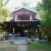  - Walk to the Beach Hotel in a Tropical Rainforest setting