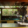  - Walk to the Beach Hotel in a Tropical Rainforest setting