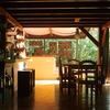  - Walk to the Beach Hotel in a Tropical Rainforest setting