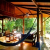  - Walk to the Beach Hotel in a Tropical Rainforest setting