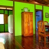  - Walk to the Beach Hotel in a Tropical Rainforest setting