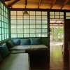  - Walk to the Beach Hotel in a Tropical Rainforest setting