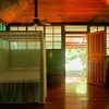  - Walk to the Beach Hotel in a Tropical Rainforest setting