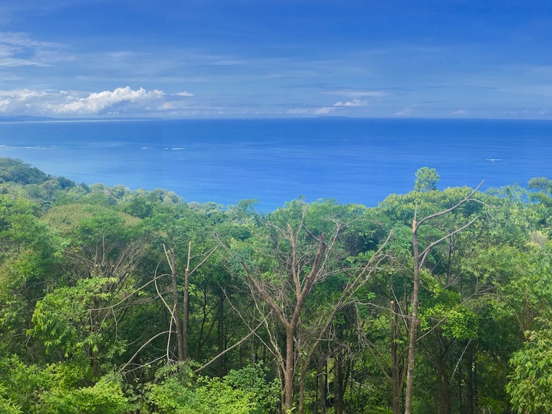 0 bed Land For Sale in Dominical, Puntarenas - 1