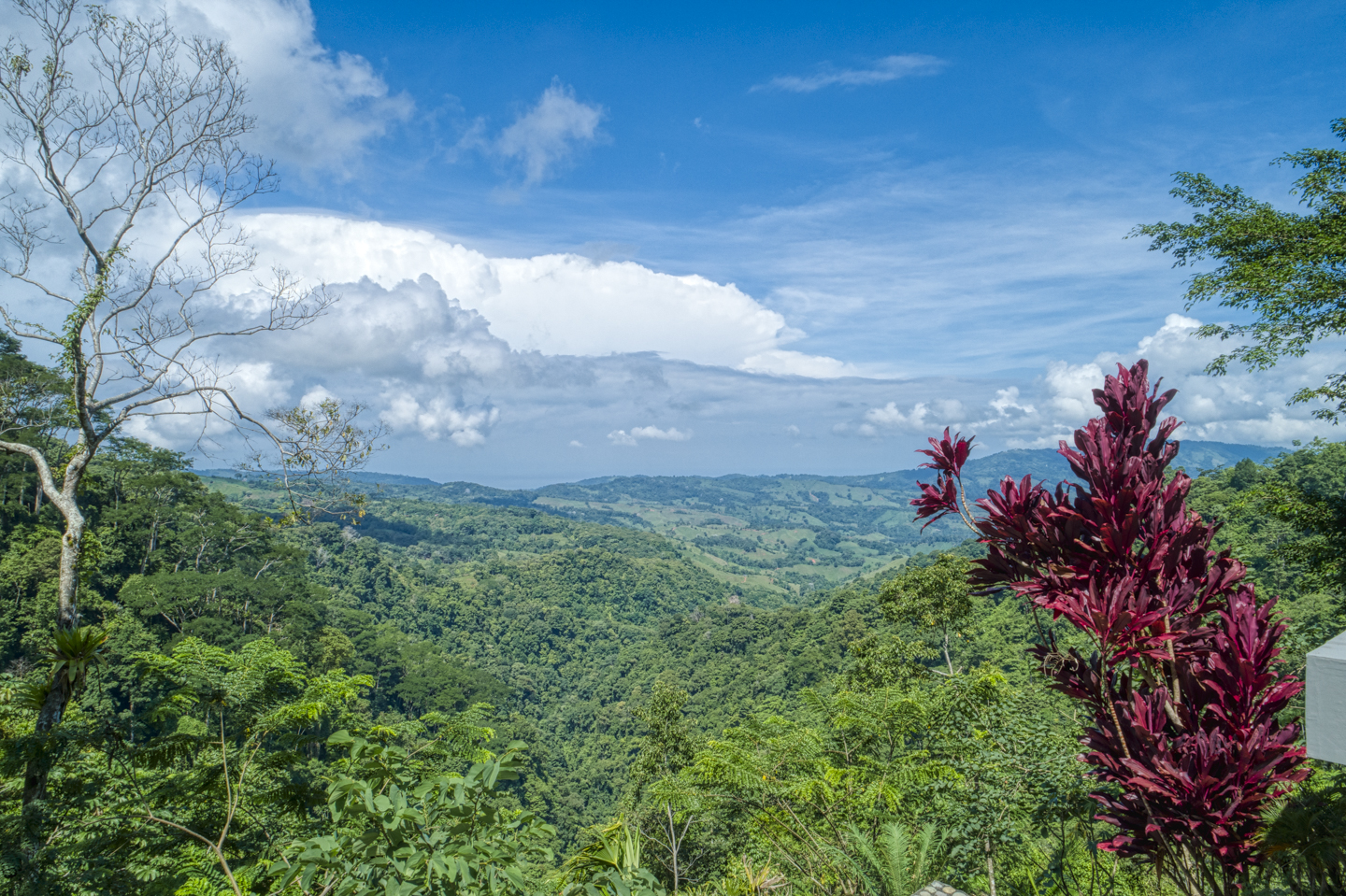 3 bed Single Family Homes For Sale in Perez Zeledon, San Jose - thumb 26