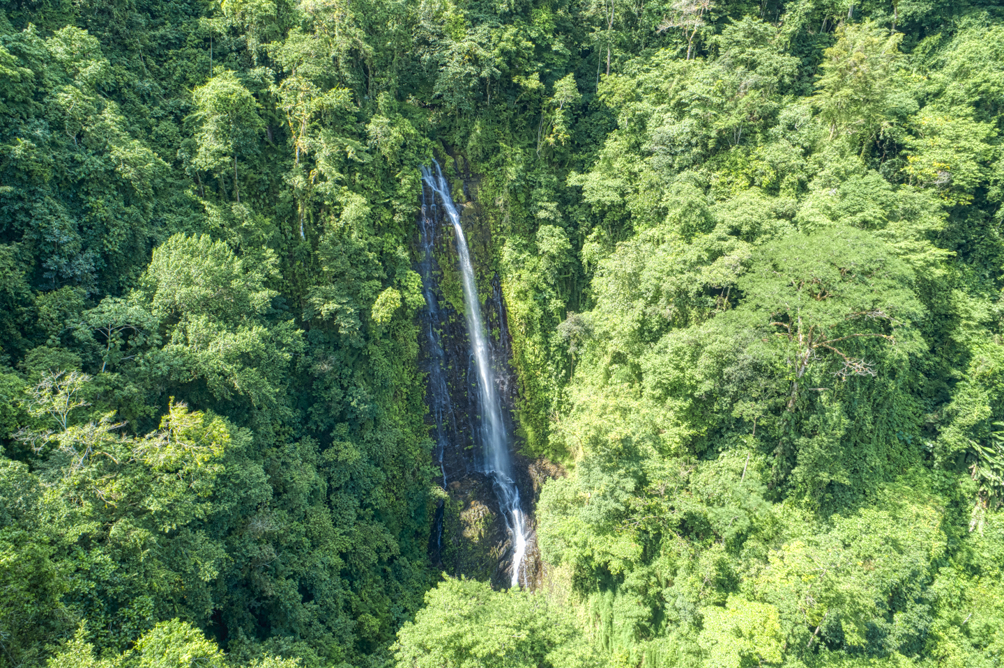 3 bed Single Family Homes For Sale in Perez Zeledon, San Jose - thumb 11