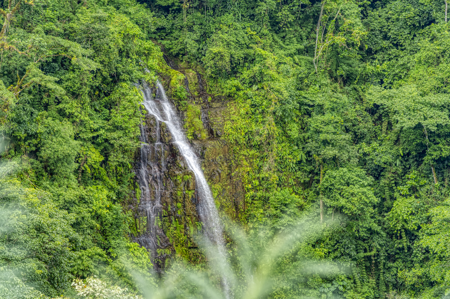 3 bed Single Family Homes For Sale in Perez Zeledon, San Jose - thumb 2