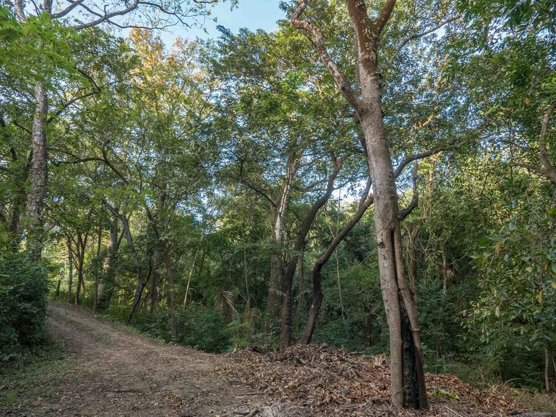 0 bed Land For Sale in Nosara, Guanacaste - 1