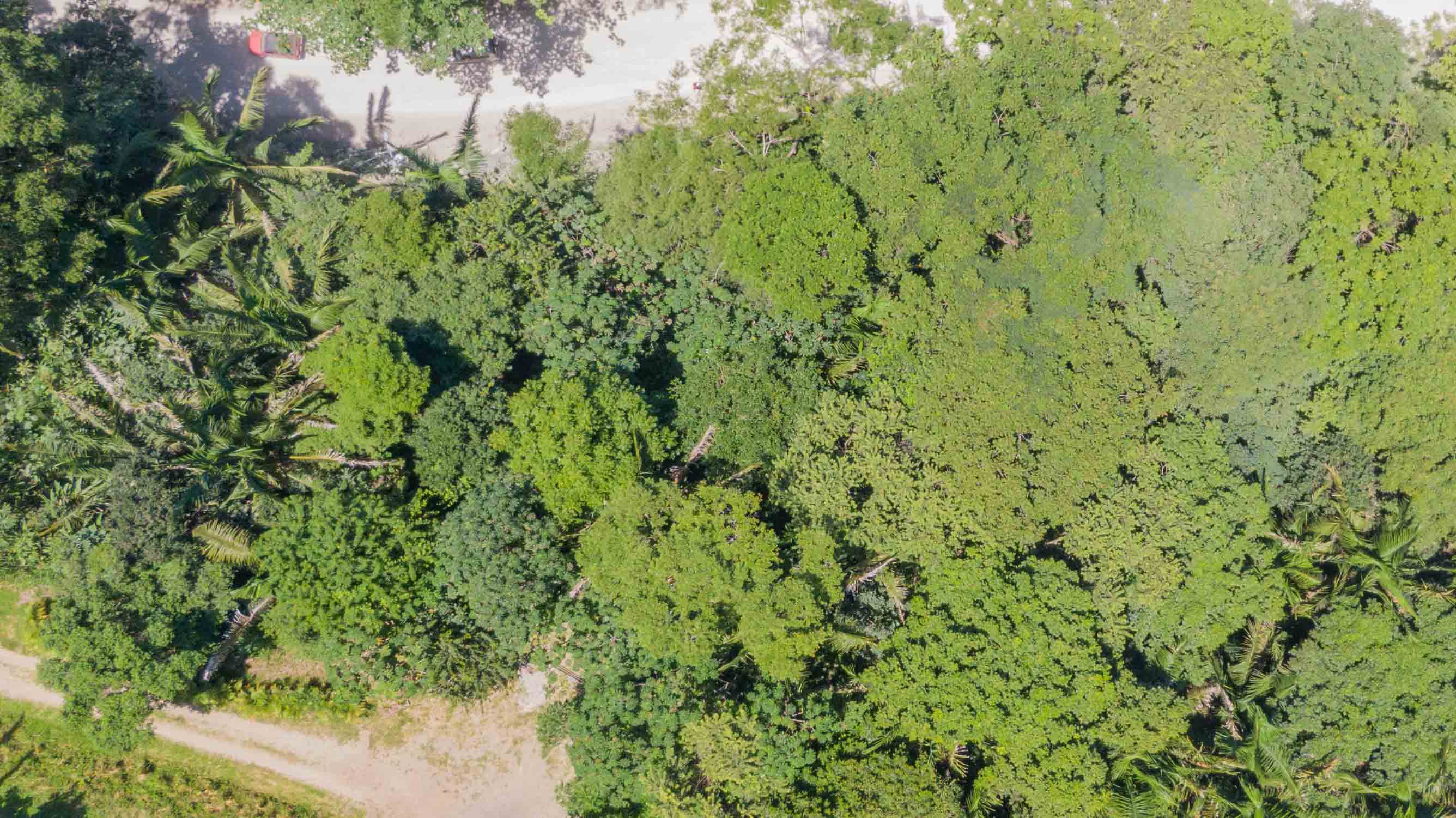 0 bed Land For Sale in Nosara, Guanacaste - thumb 4