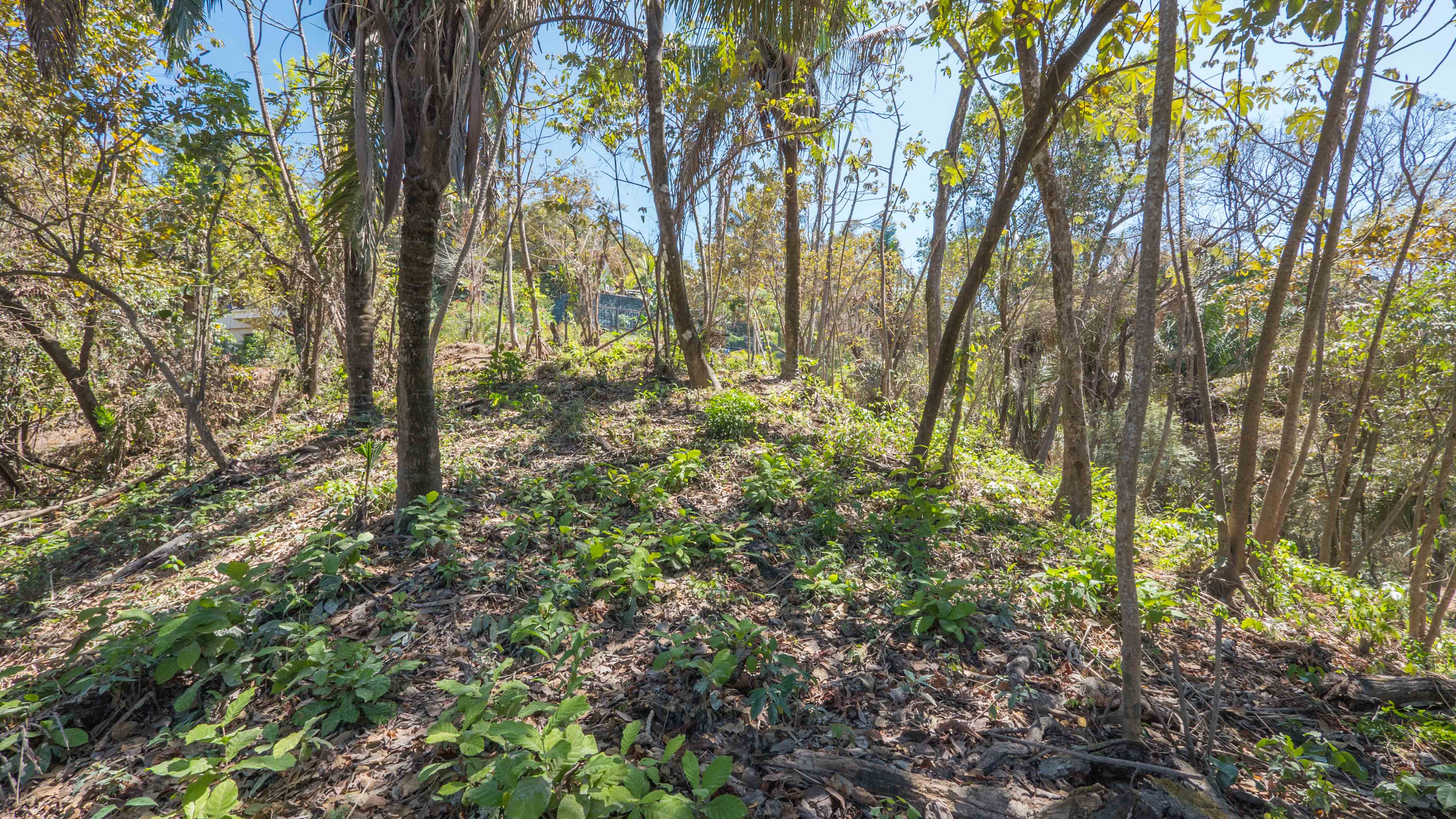 0 bed Land For Sale in Nosara, Guanacaste - thumb 5