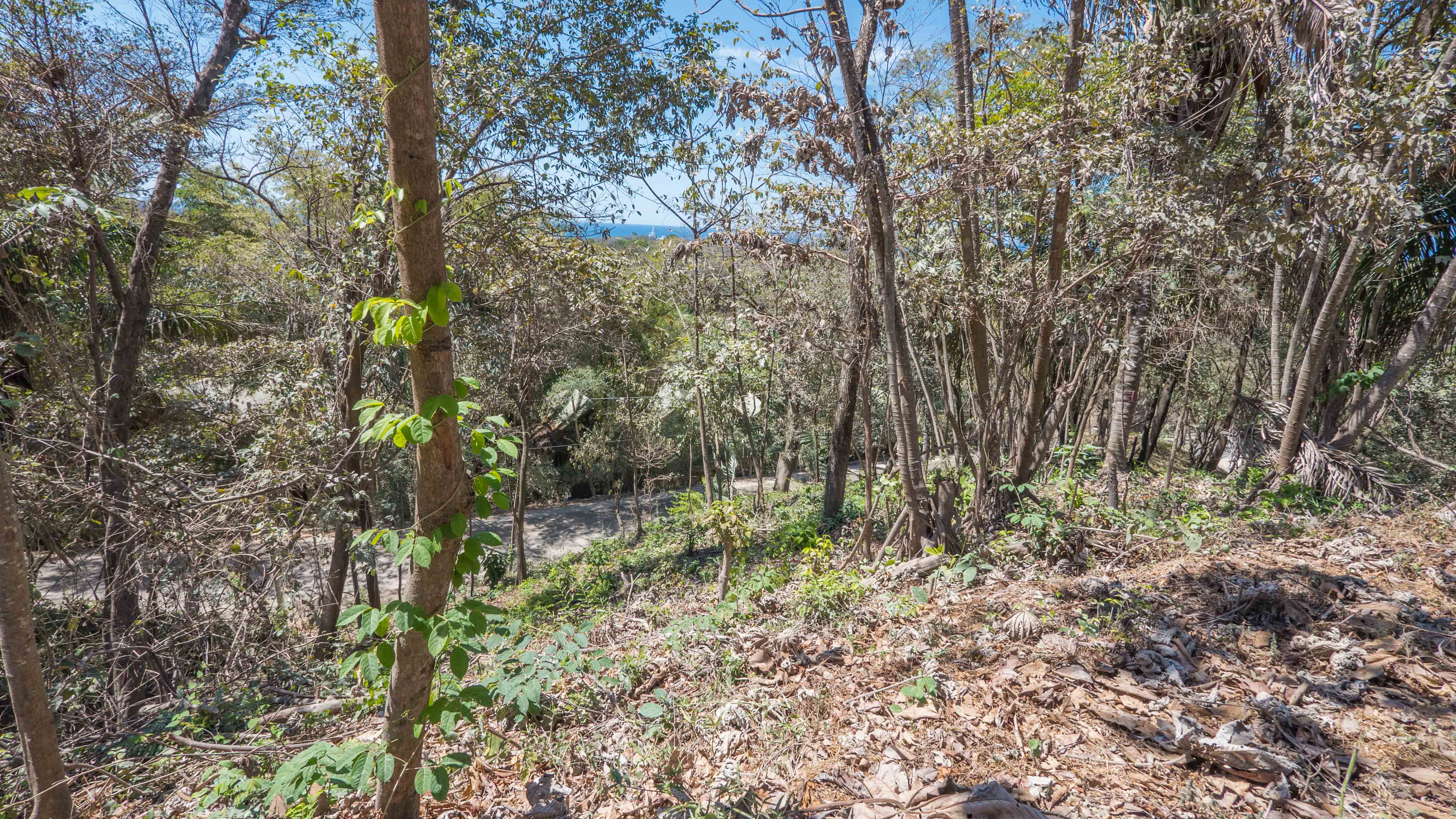 0 bed Land For Sale in Nosara, Guanacaste - thumb 7