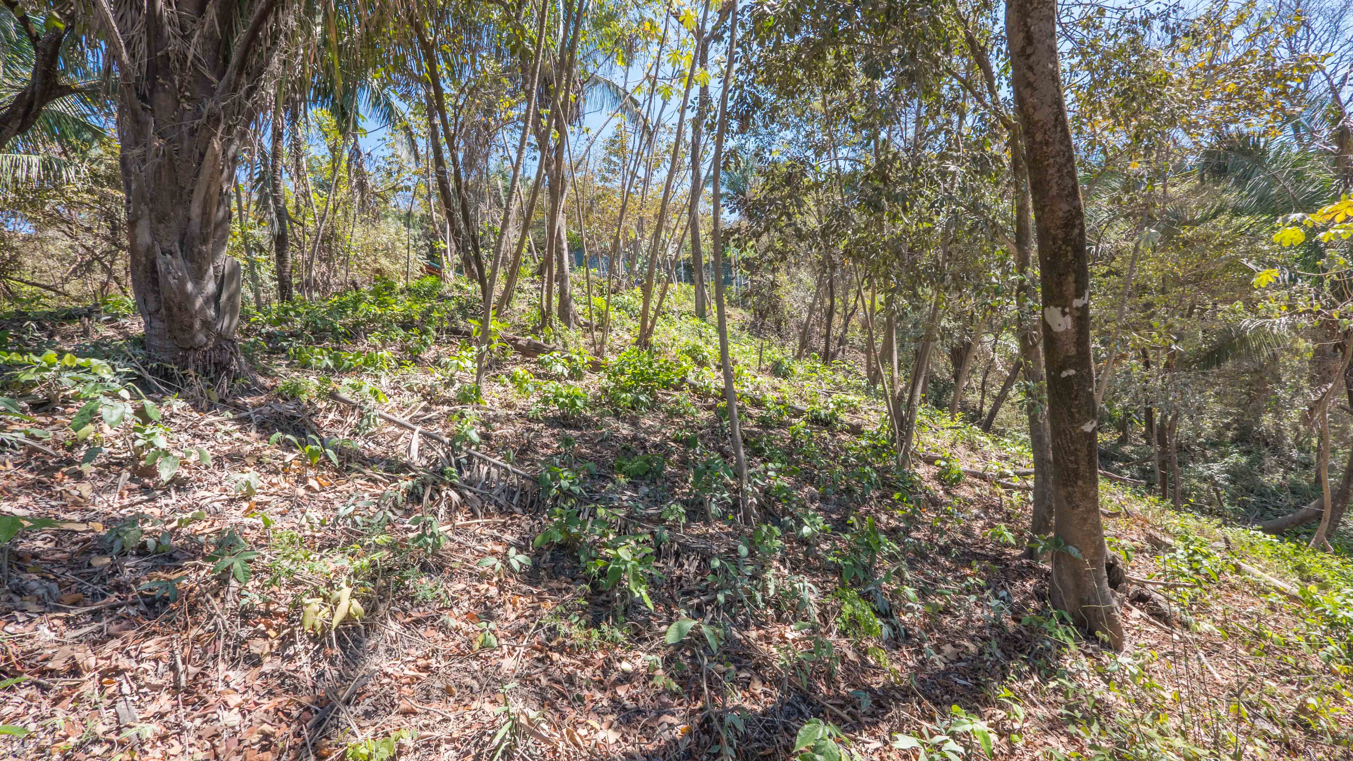 0 bed Land For Sale in Nosara, Guanacaste - thumb 6