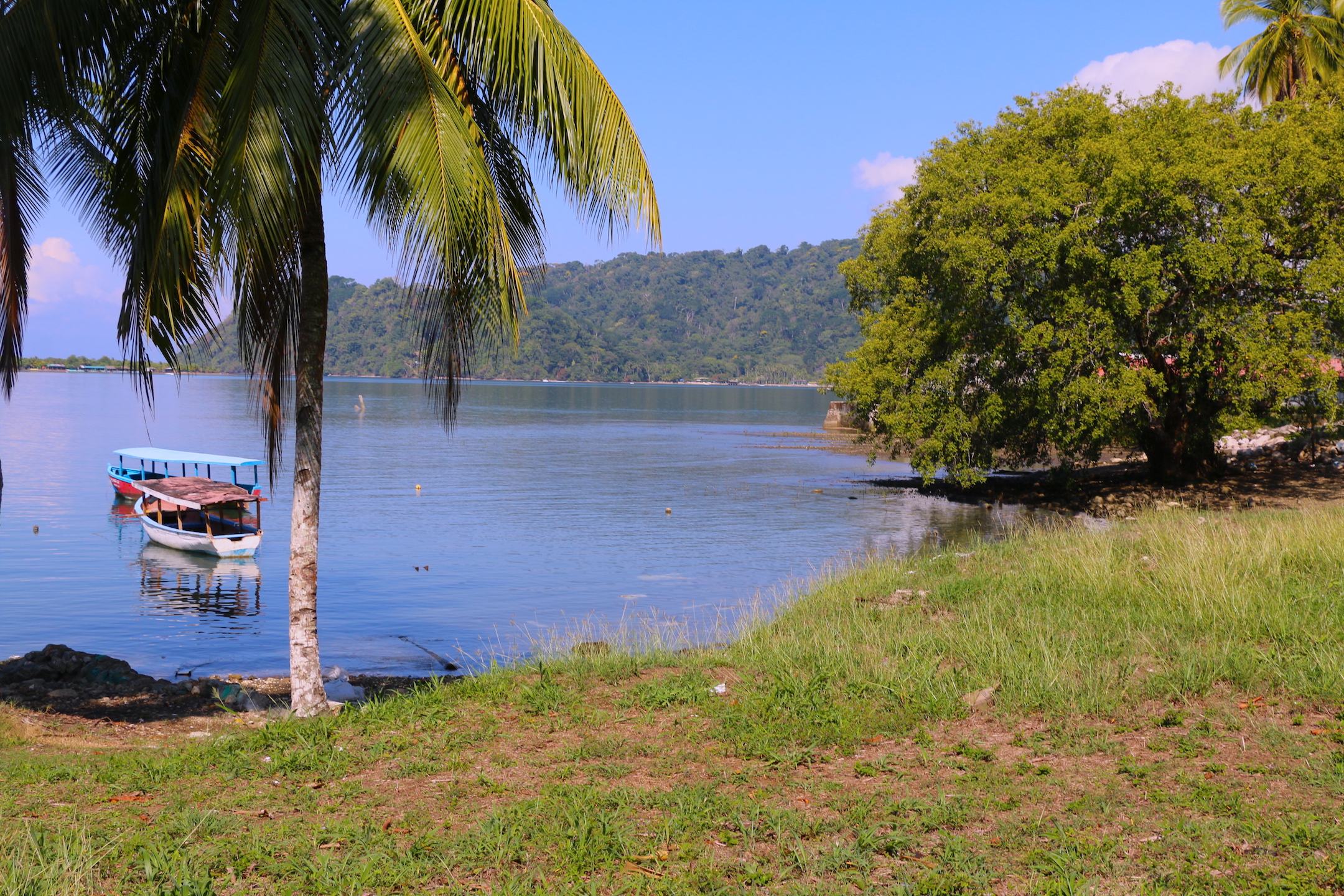 0 bed Land For Sale in Golfito, Puntarenas - thumb 4