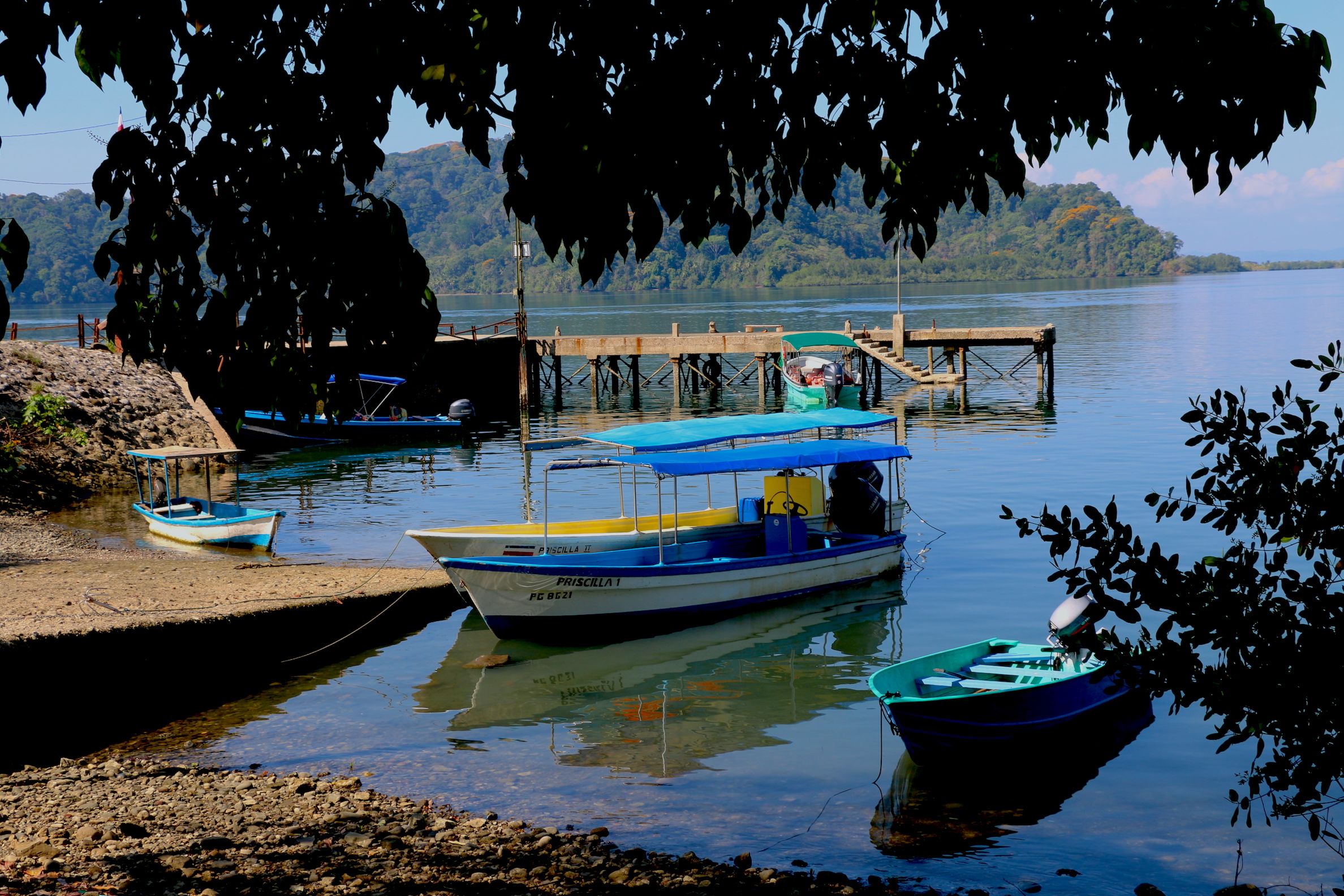 0 bed Land For Sale in Golfito, Puntarenas - thumb 2