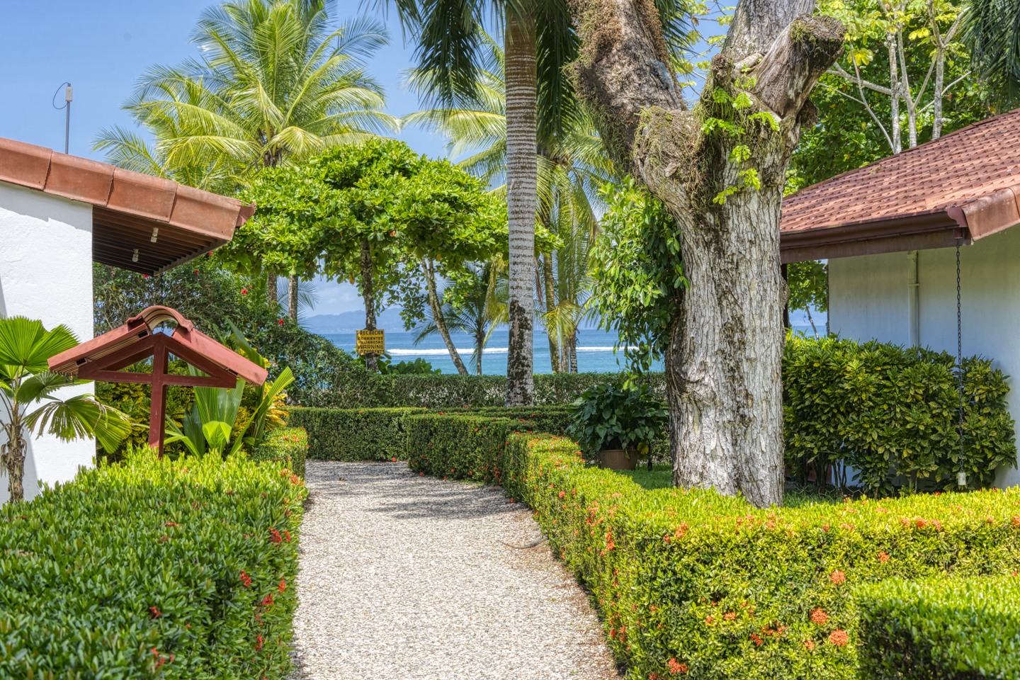 50 bed Hotel / Leisure For Sale in Puerto Jimenez, Puntarenas - thumb 21