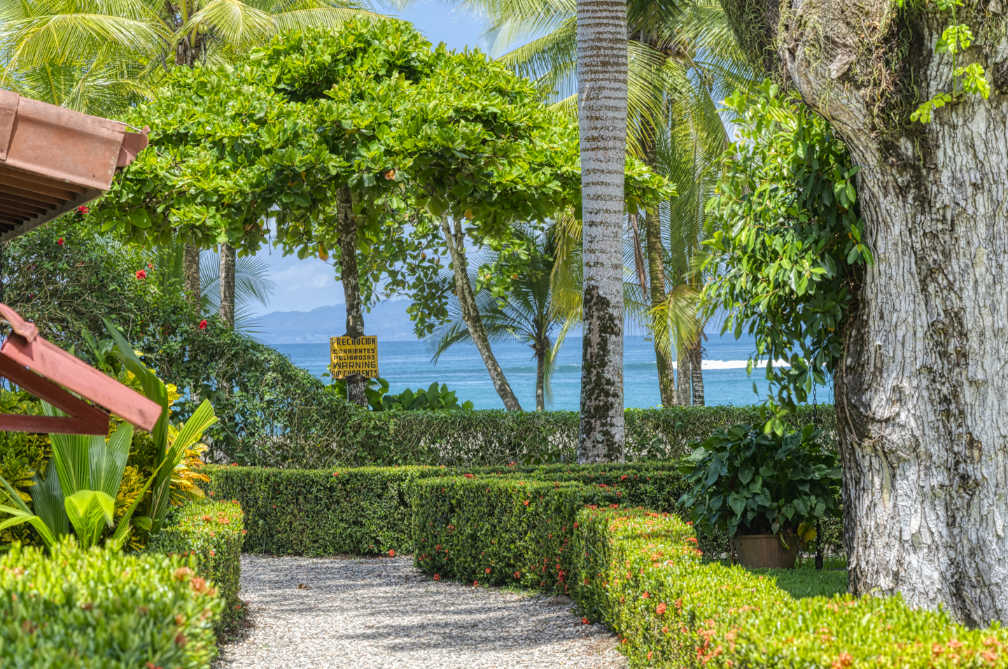 50 bed Hotel / Leisure For Sale in Puerto Jimenez, Puntarenas - thumb 3