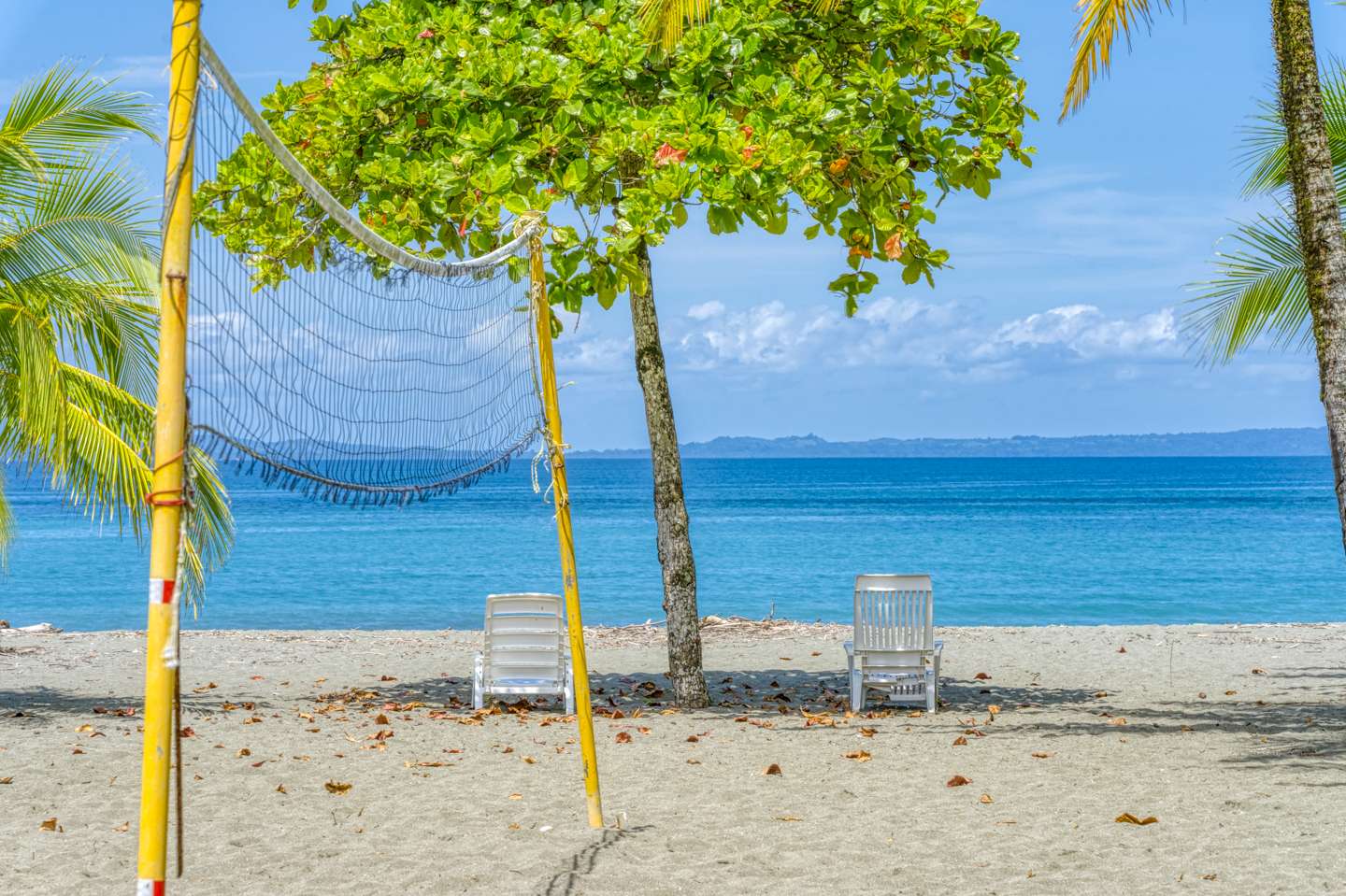 50 bed Hotel / Leisure For Sale in Puerto Jimenez, Puntarenas - thumb 4