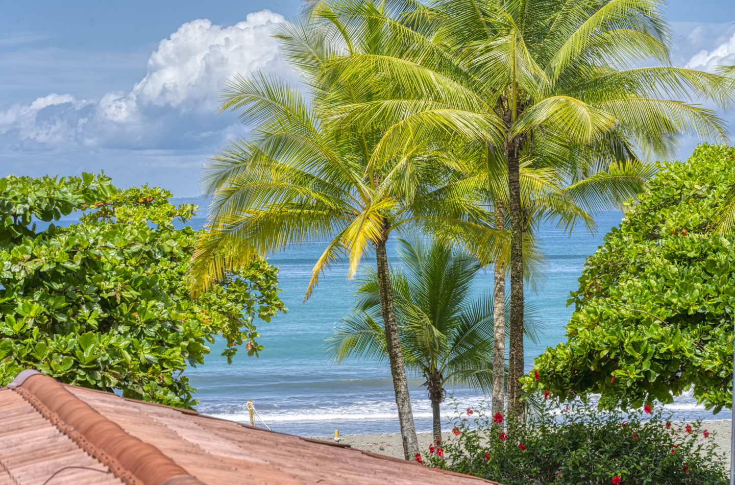 50 bed Hotel / Leisure For Sale in Puerto Jimenez, Puntarenas - thumb 9