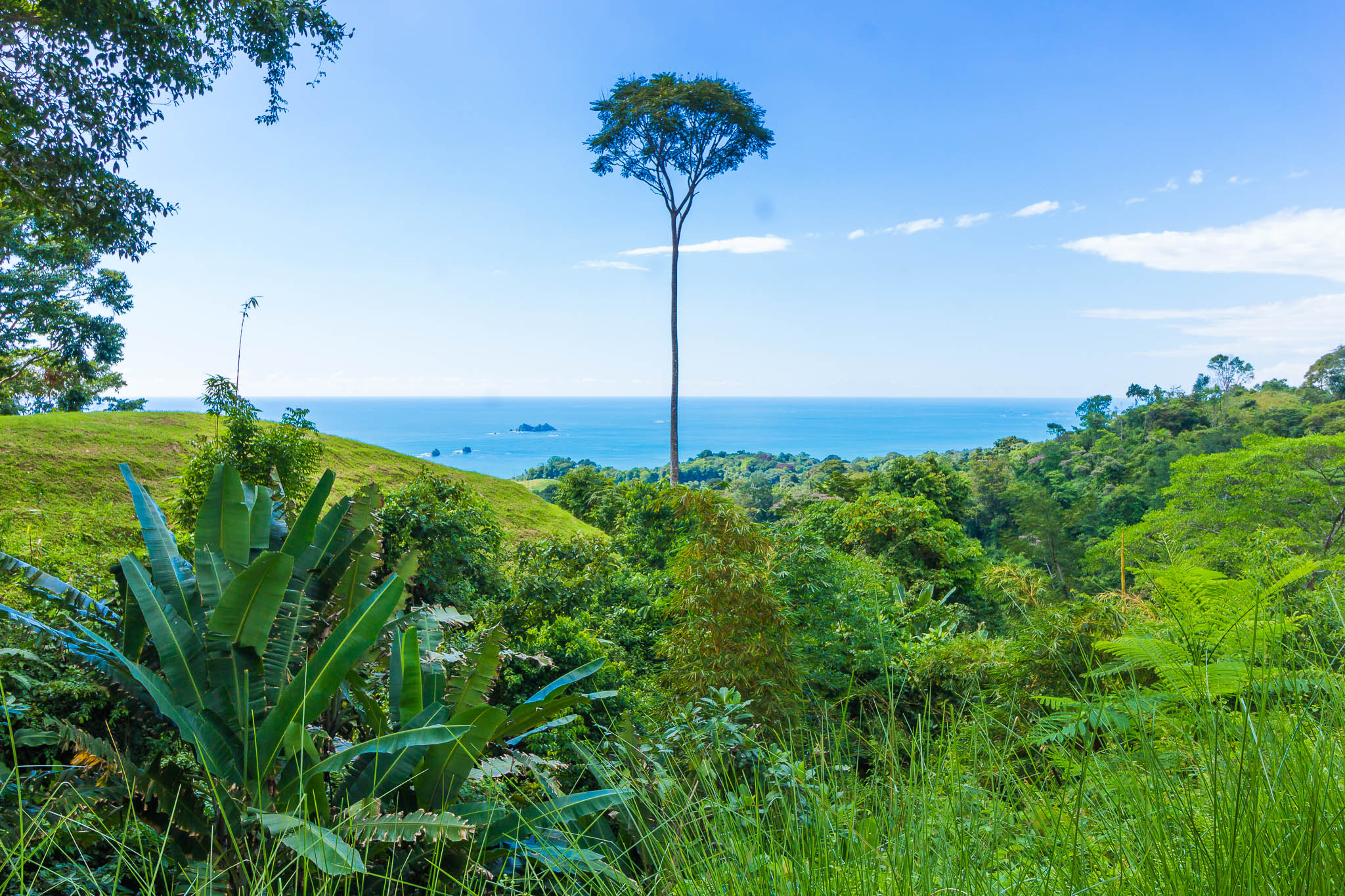 5 bed Single Family Homes For Sale in Ojochal, Puntarenas - thumb 15